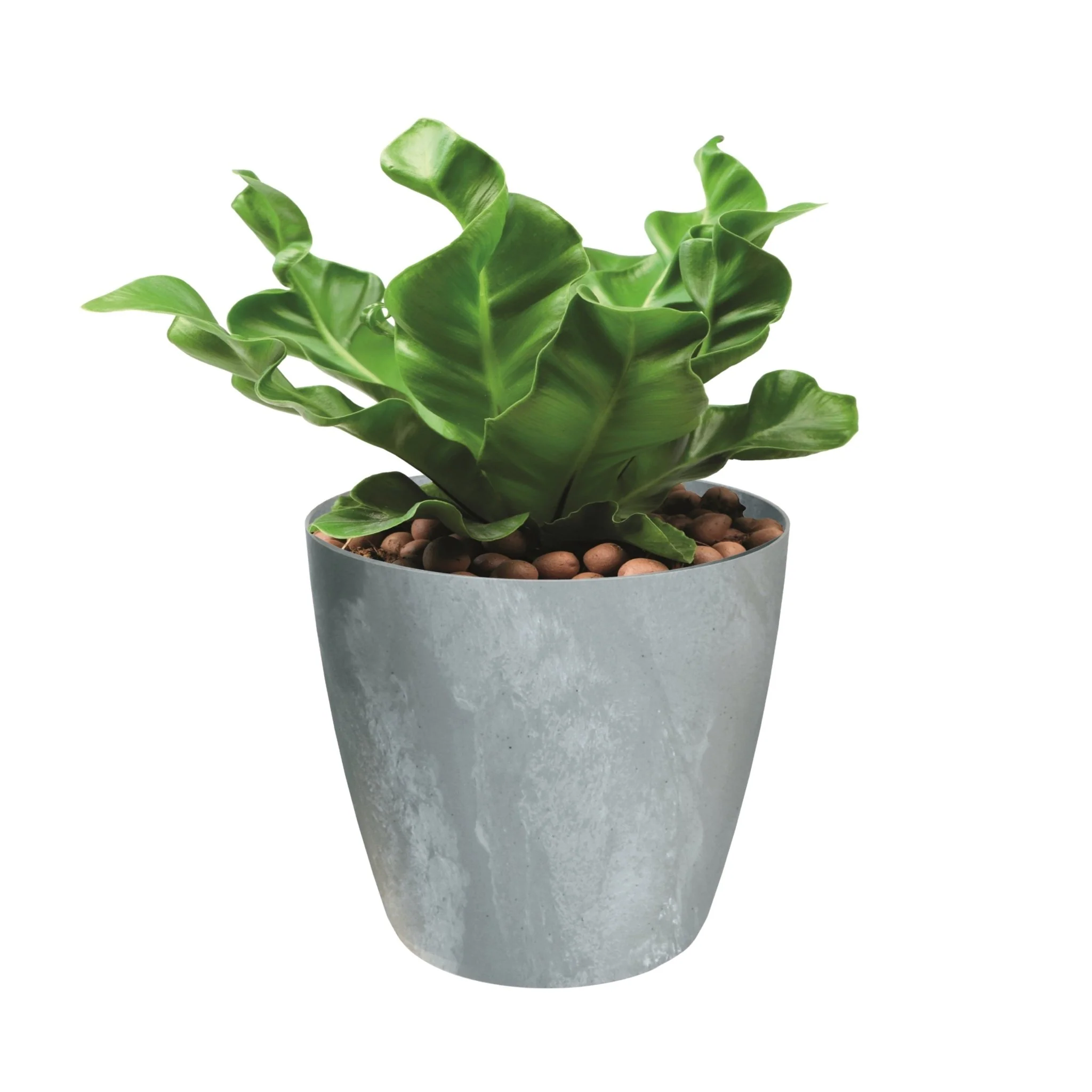Mate Beton Effect Planter - Image 12