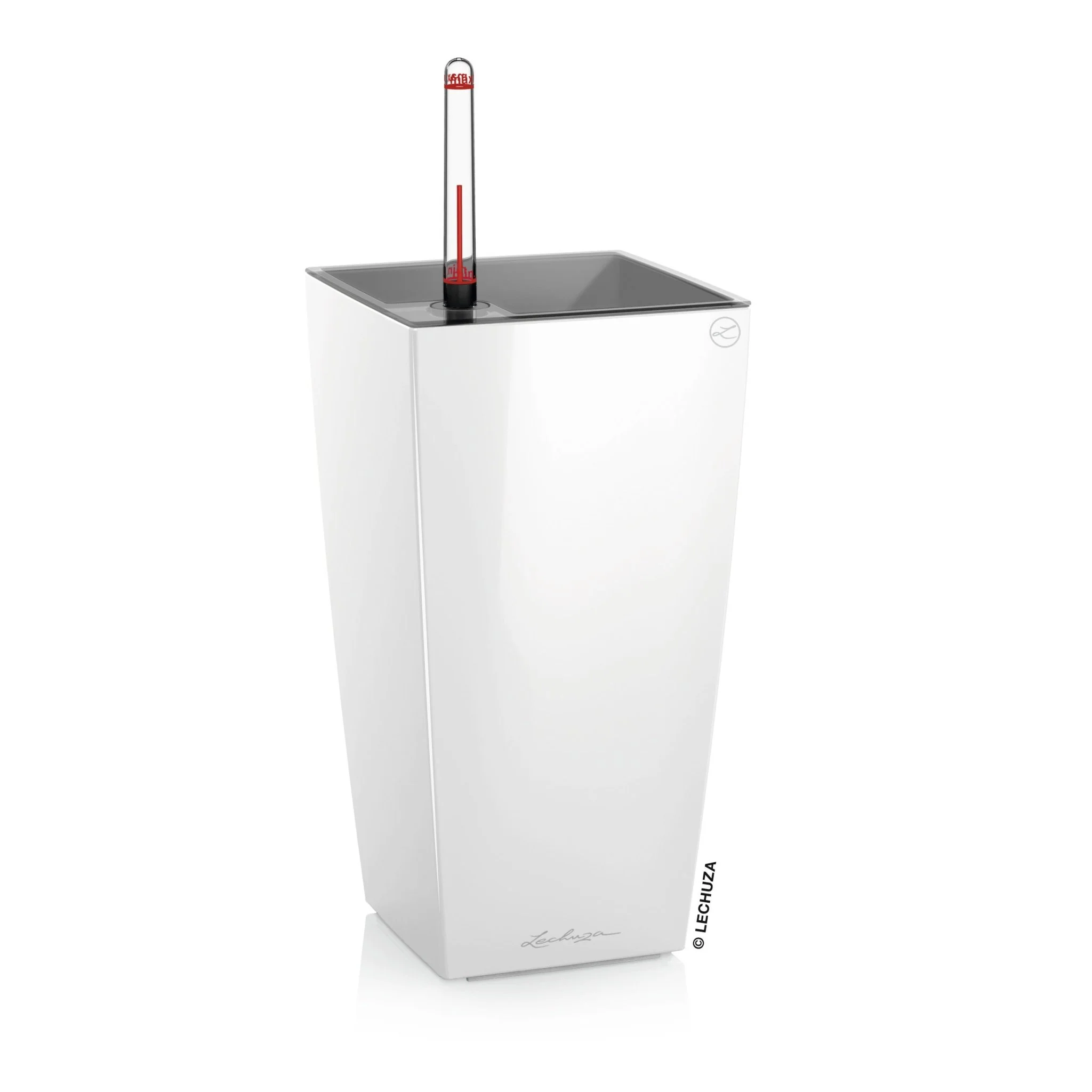 PRE ORDER: MAY. MAXI CUBI - Image 2