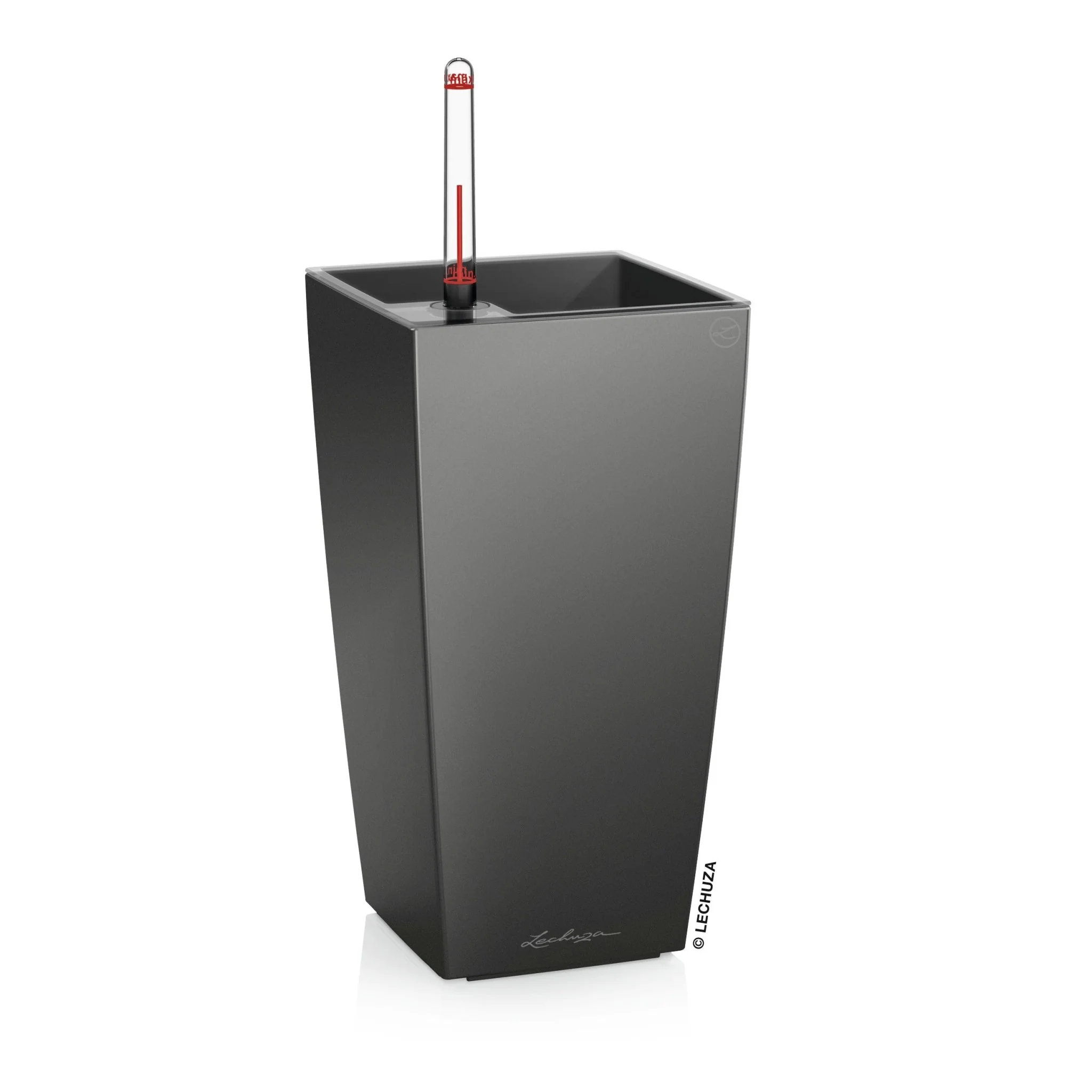 PRE ORDER: MAY. MAXI CUBI - Image 3