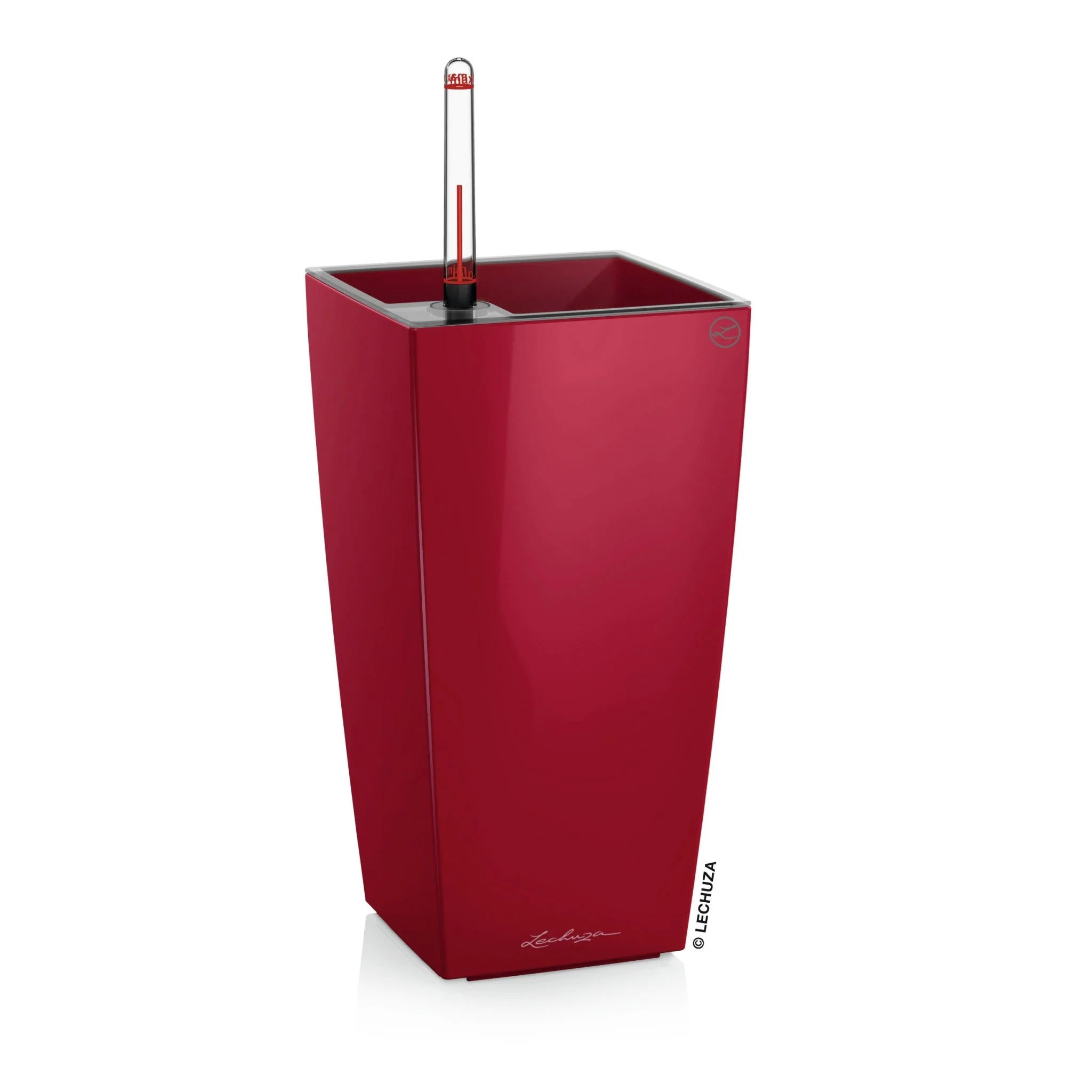 PRE ORDER: MAY. MAXI CUBI - Image 4