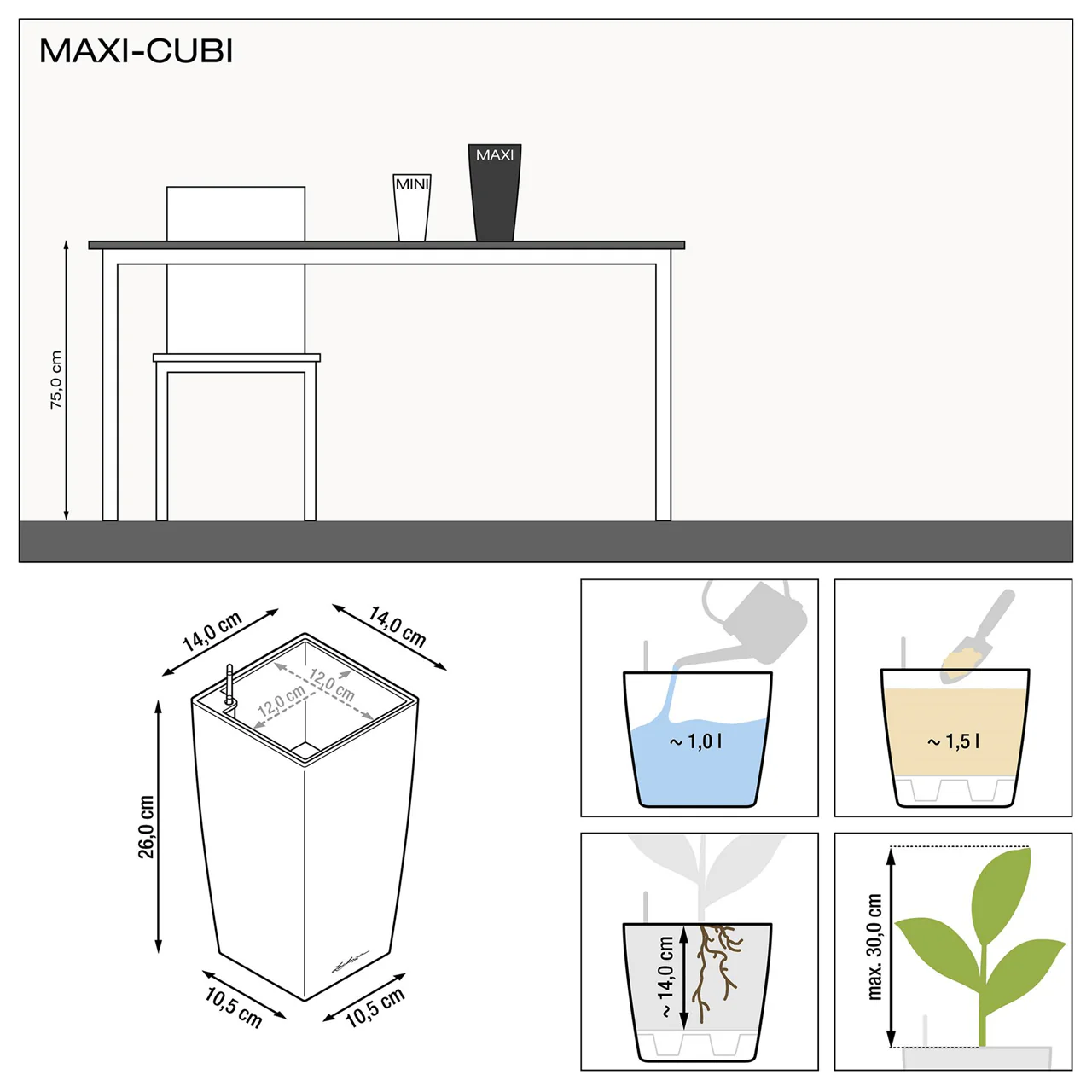 PRE ORDER: MAY. MAXI CUBI - Image 6