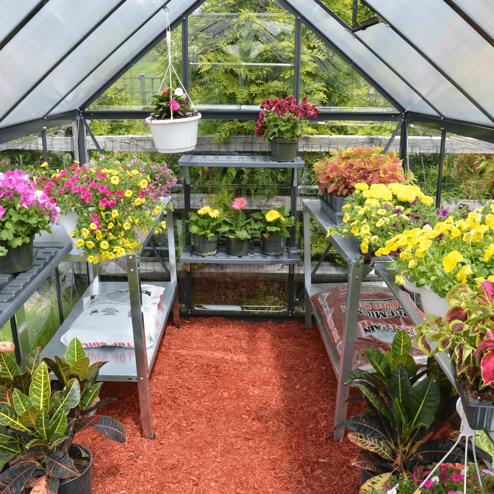 6' x 10' Hybrid Greenhouse - Grey Frame (1.9m x 3.1m) - Image 5