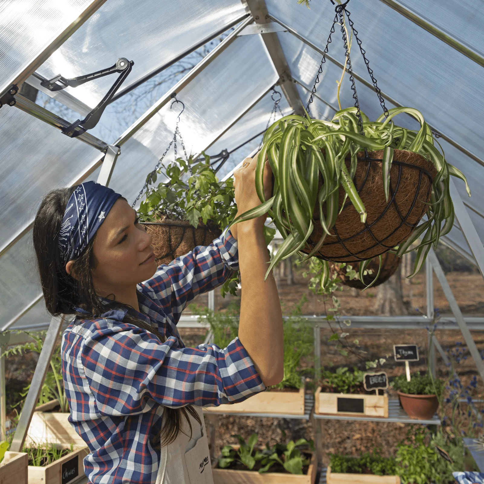 PRE ORDER: APR. - 8' x 12' Balance Greenhouse (2.5m x 3.7m) - Image 4