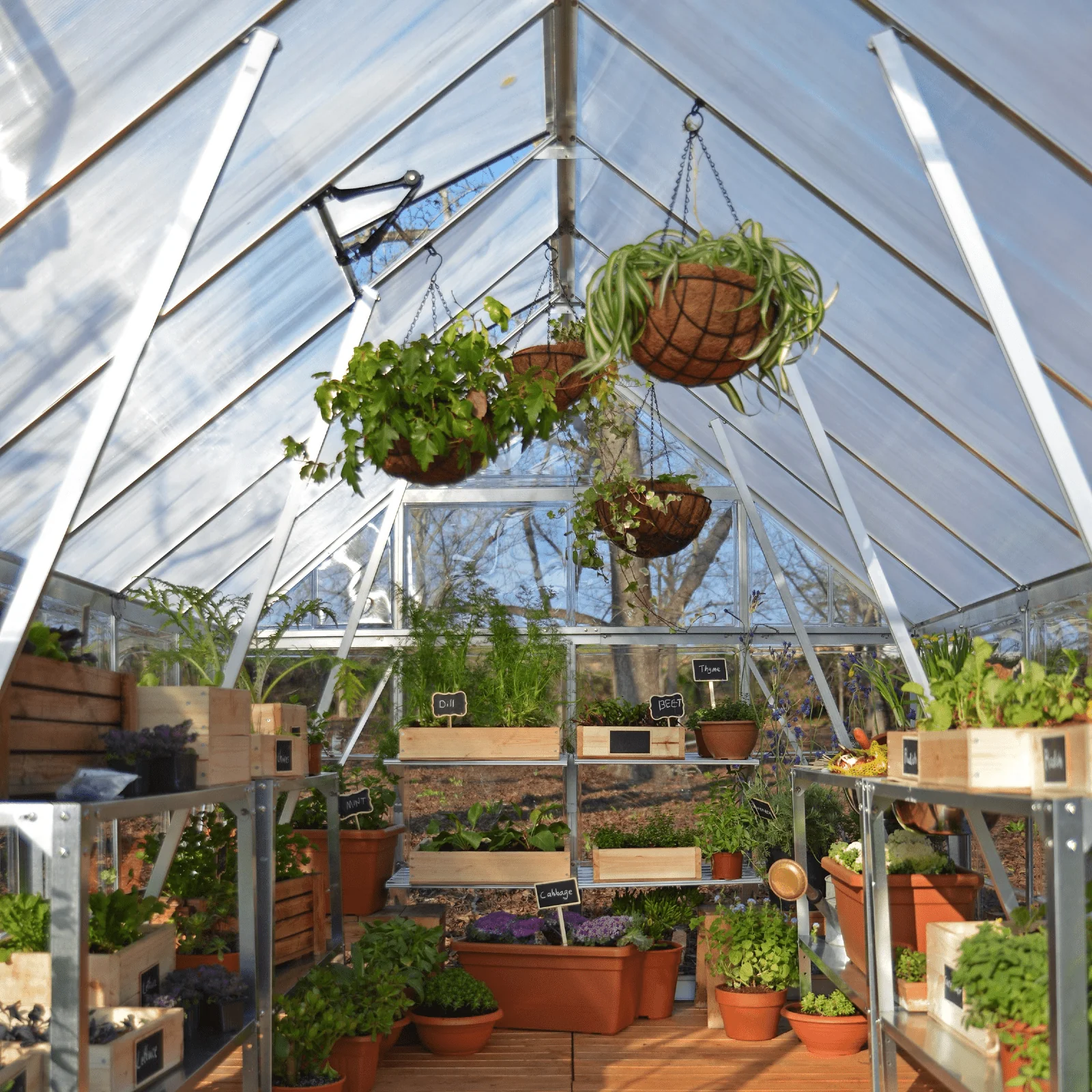 PRE ORDER: APR. - 8' x 12' Balance Greenhouse (2.5m x 3.7m) - Image 5