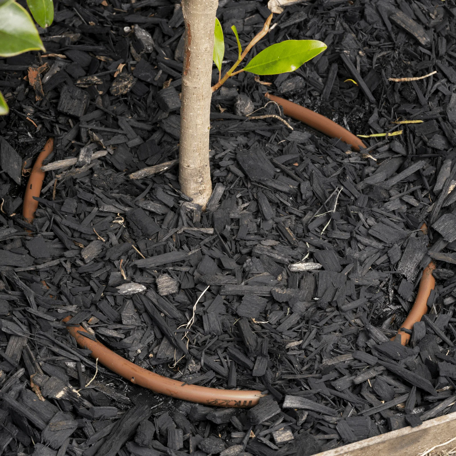 mazeDRIP 50m PC Watering Kit - Image 5