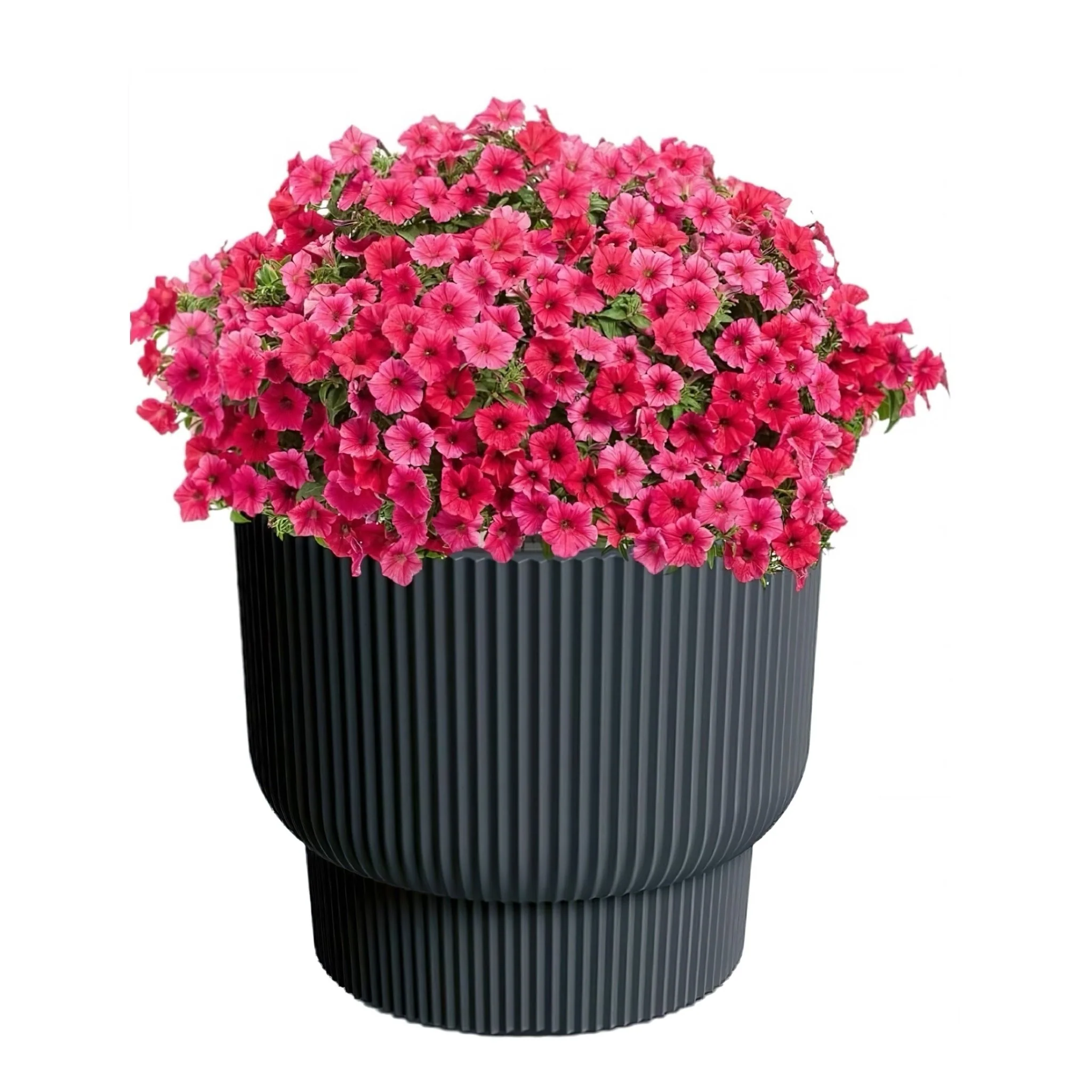 Milly Elegance Planter 400 - Image 6