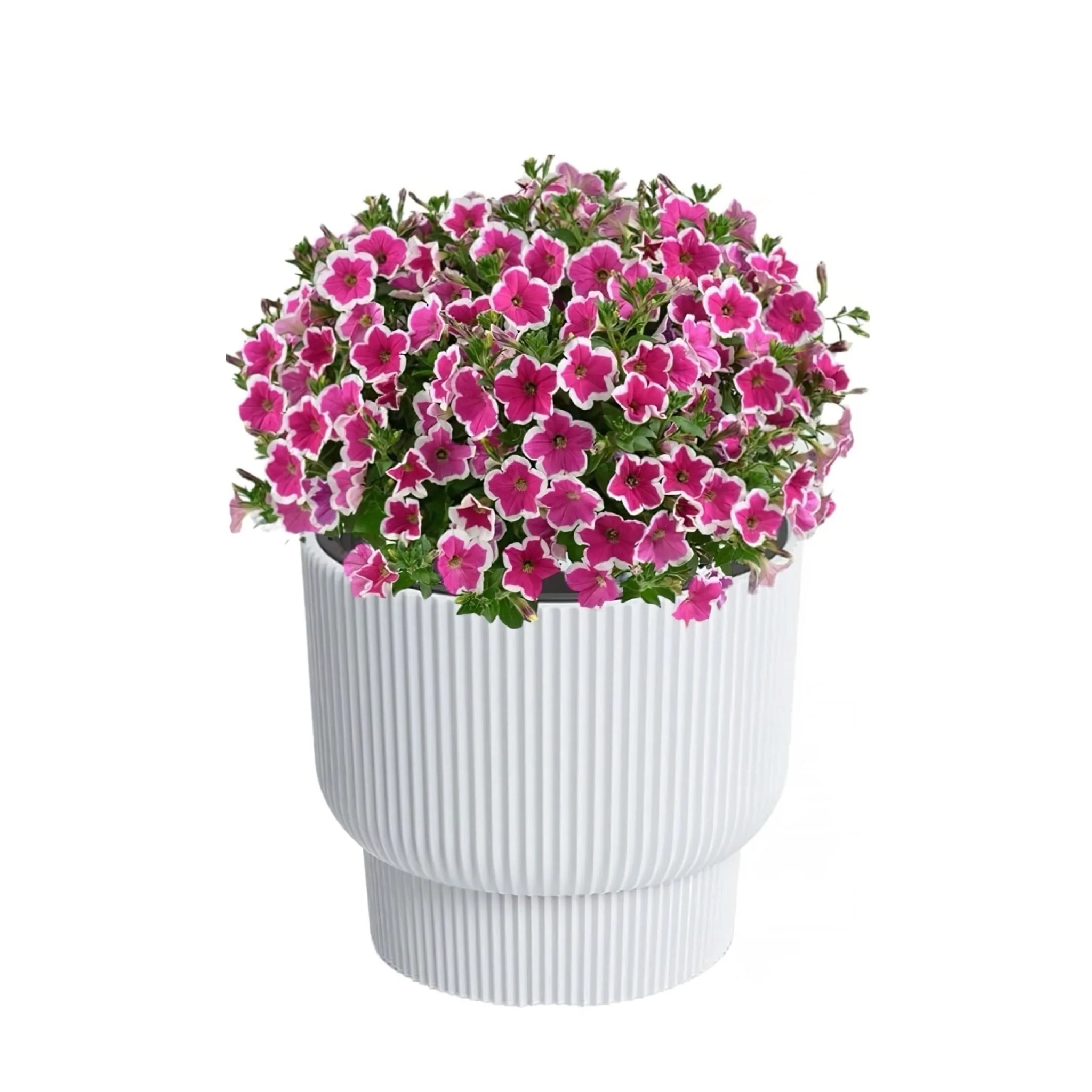 Milly Elegance Planter 400 - Image 7