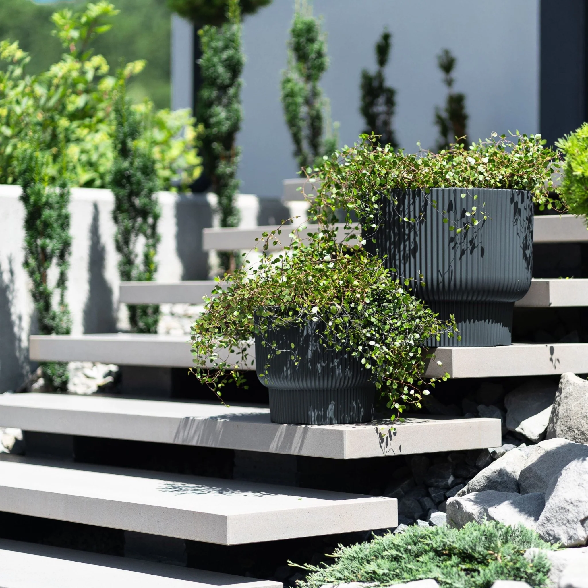 Milly Elegance Planter 400 - Image 9