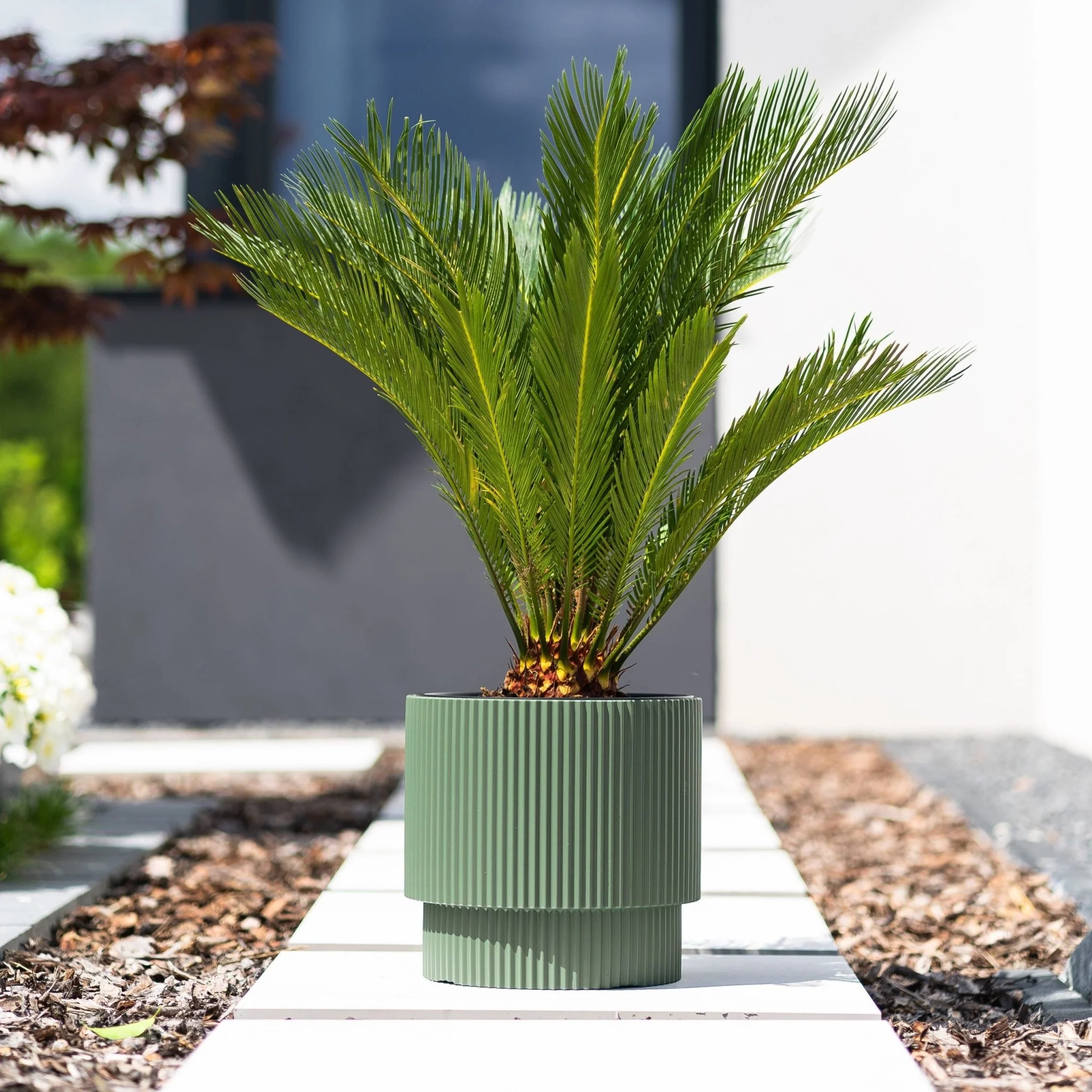 Milly Grace Planter 300 - Image 7