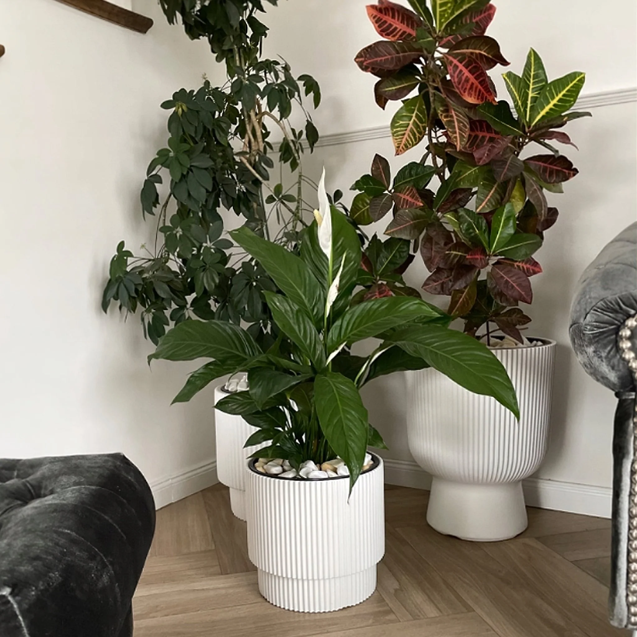 Milly Grace Planter 300 - Image 8