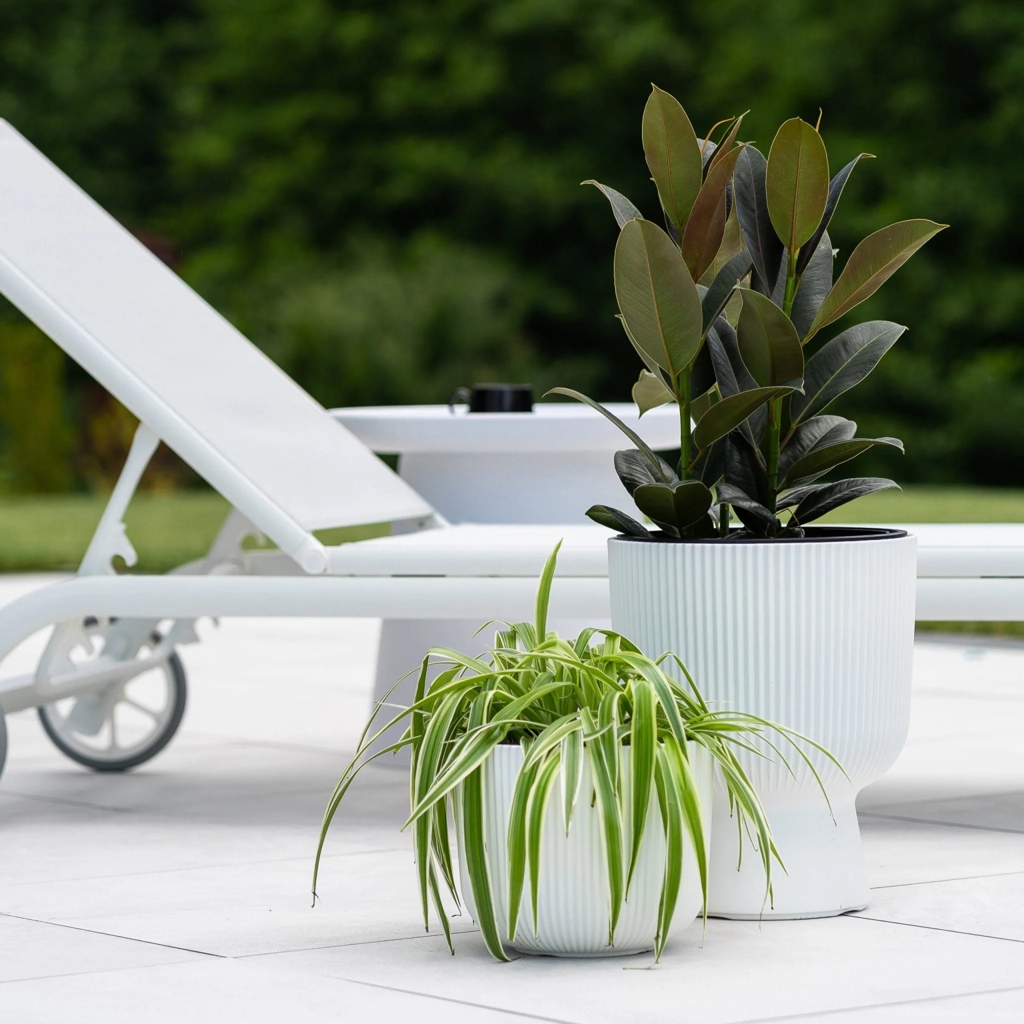 Milly Lux Planter 400 - Image 7
