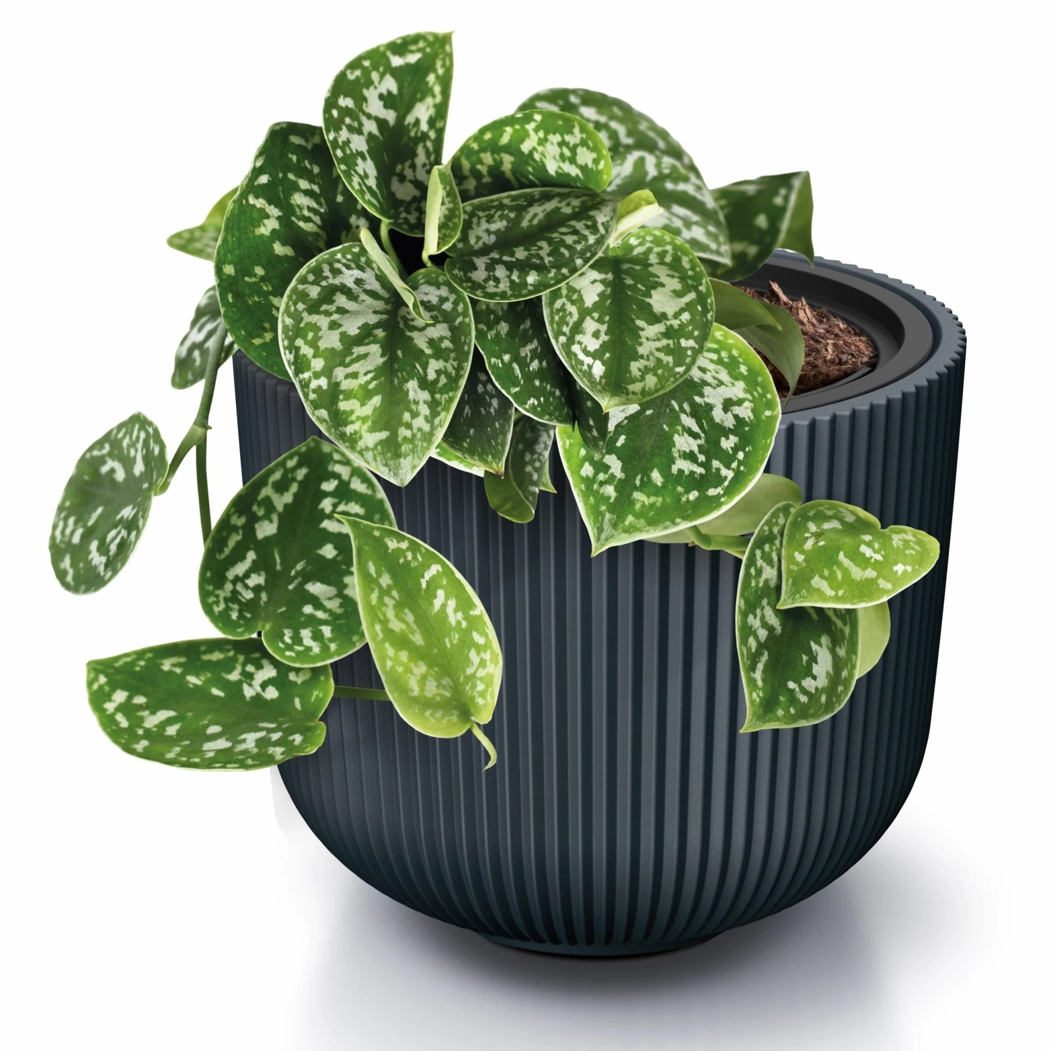 Milly Style Planter 350 - Image 5