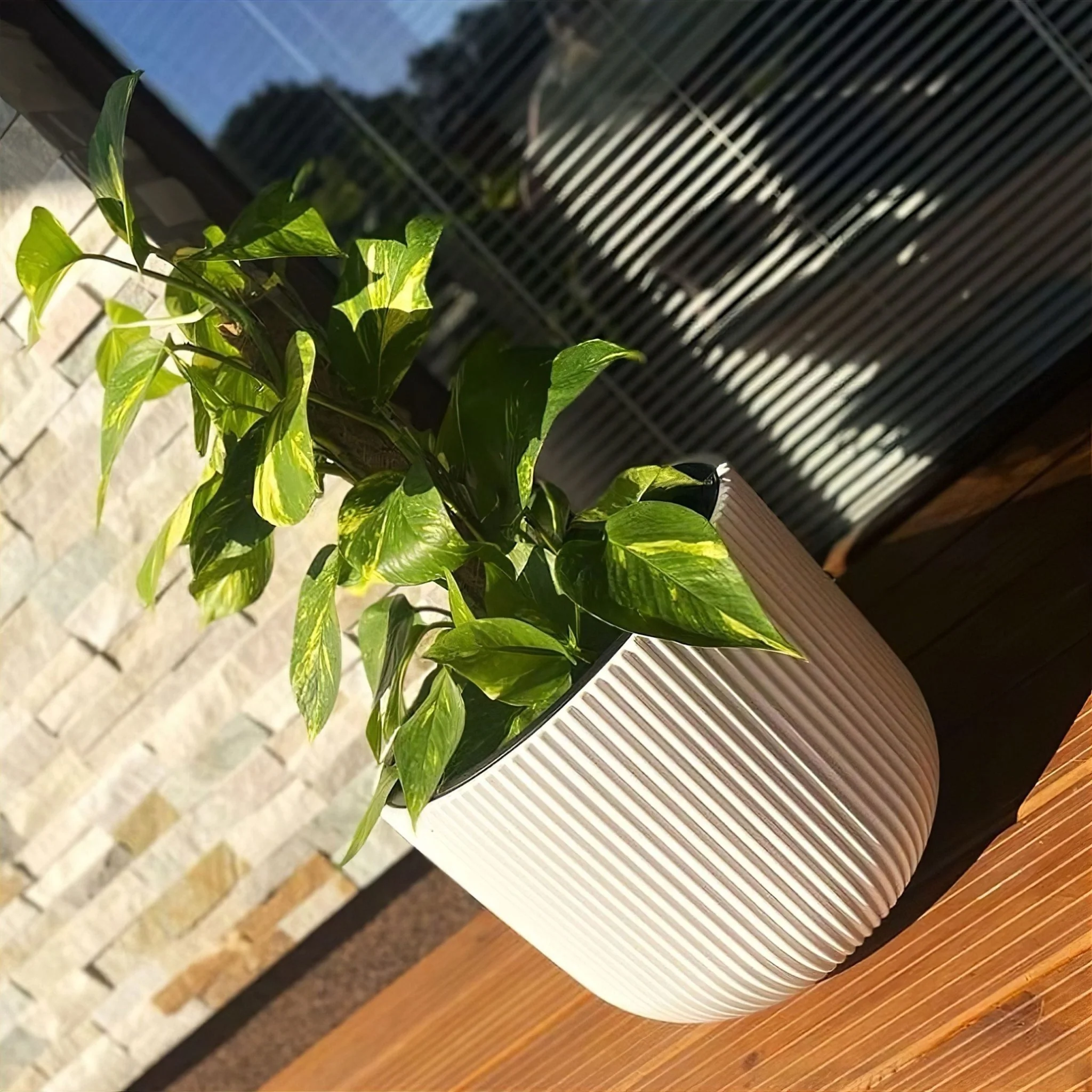 Milly Style Planter 350 - Image 9