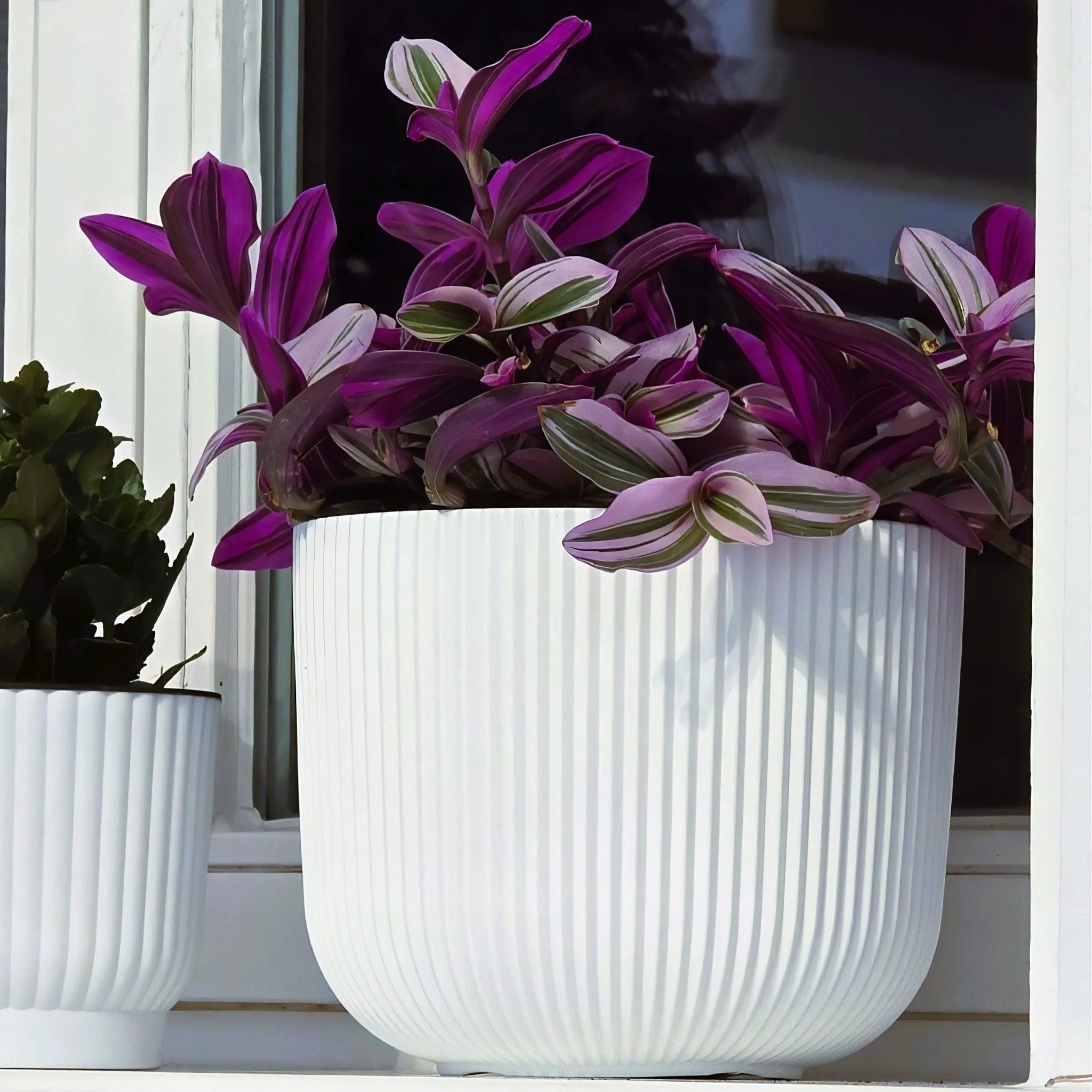 Milly Style Planter 400 - Image 7
