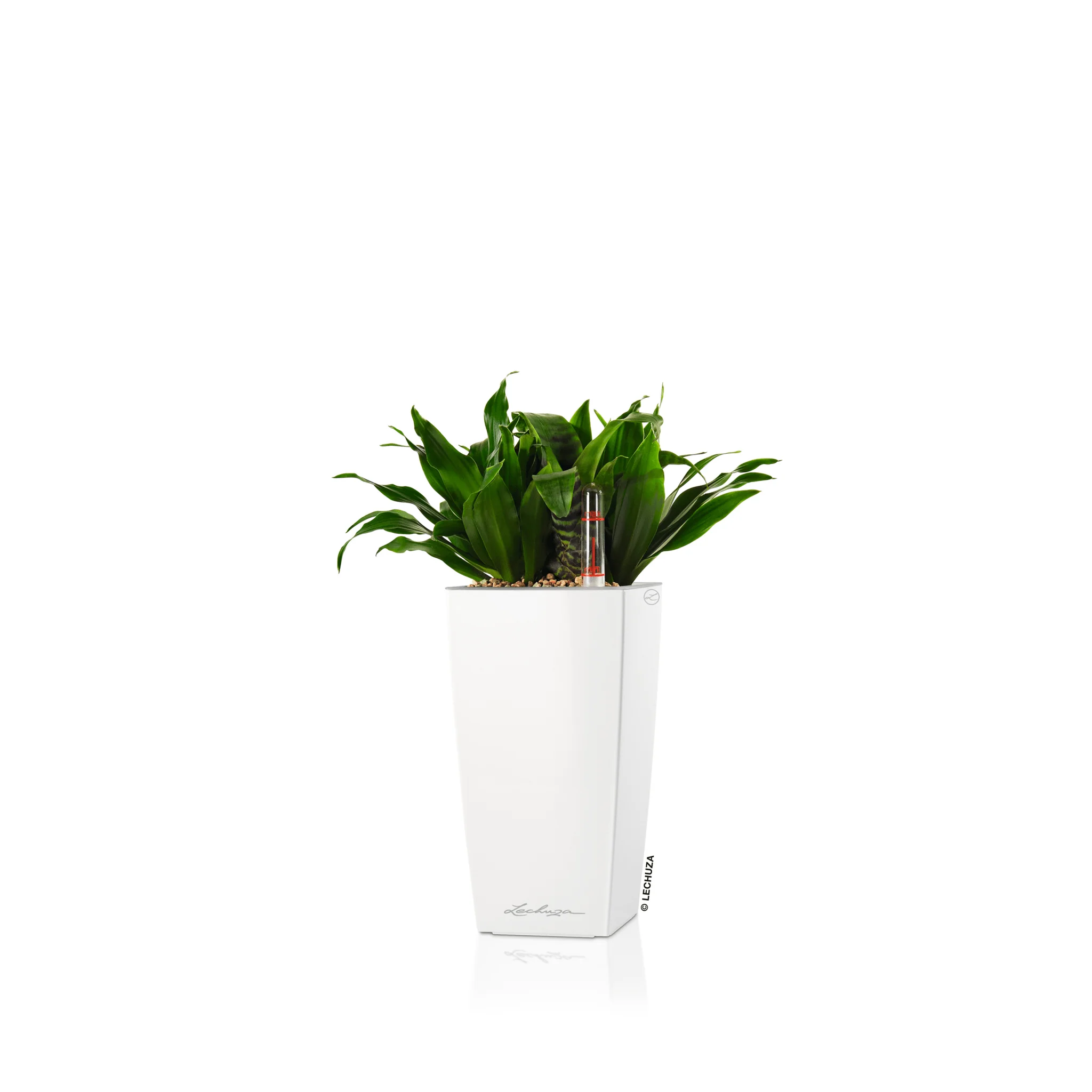 MINI CUBI