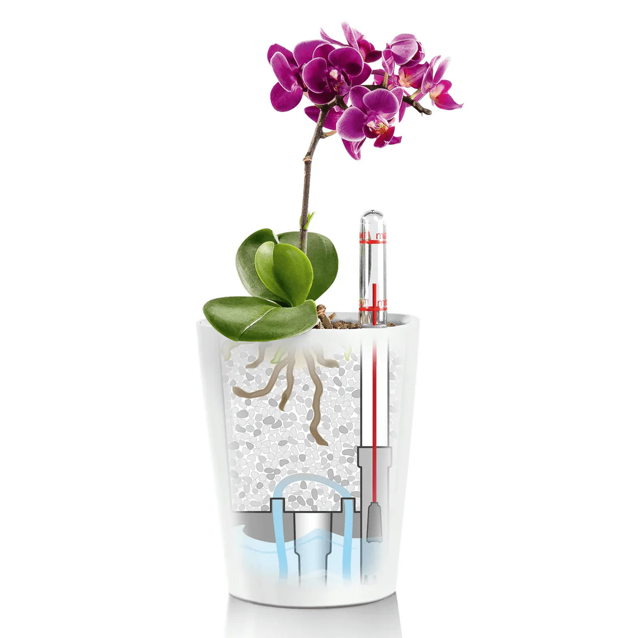 MINI DELTINI - Image 10