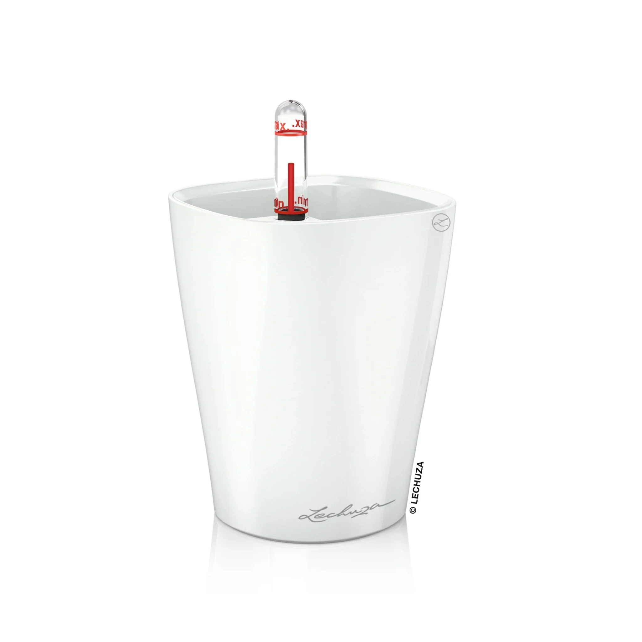 MINI DELTINI - Image 2