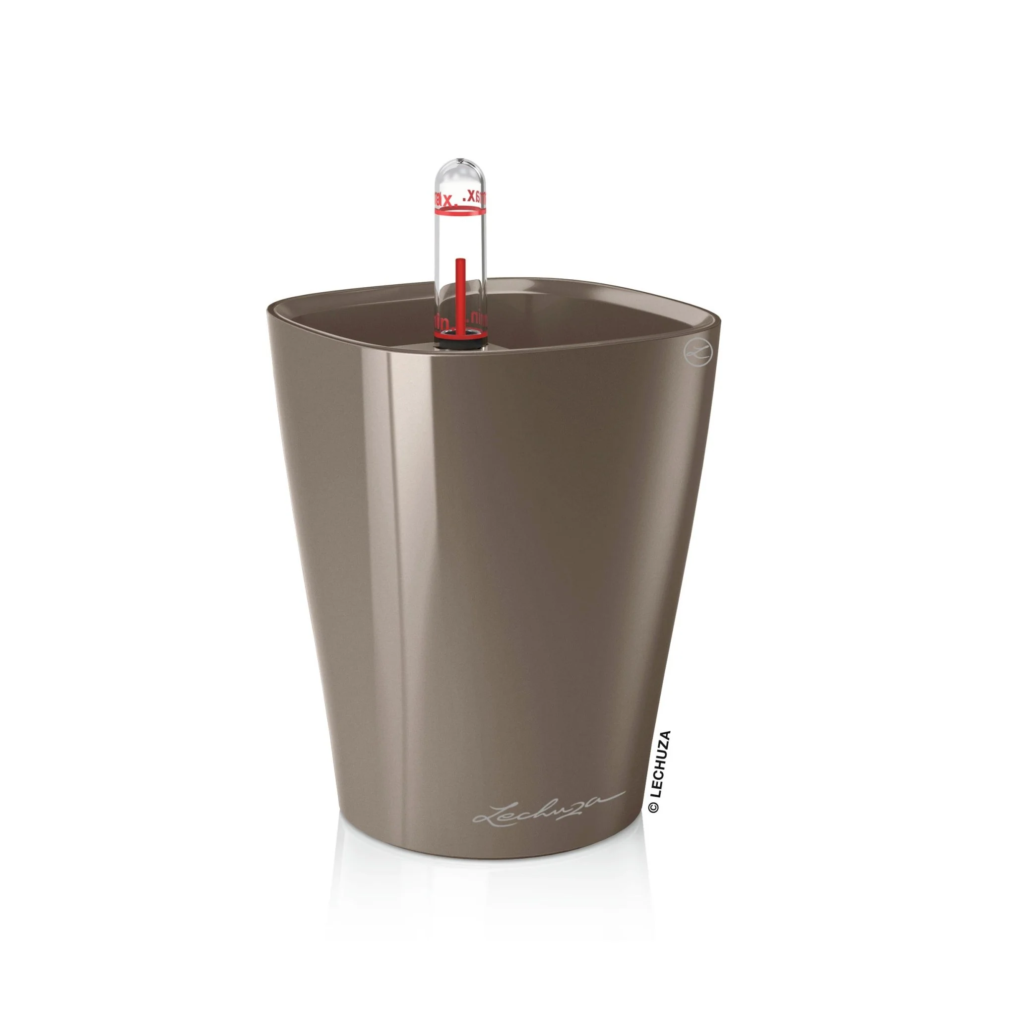 MINI DELTINI - Image 4
