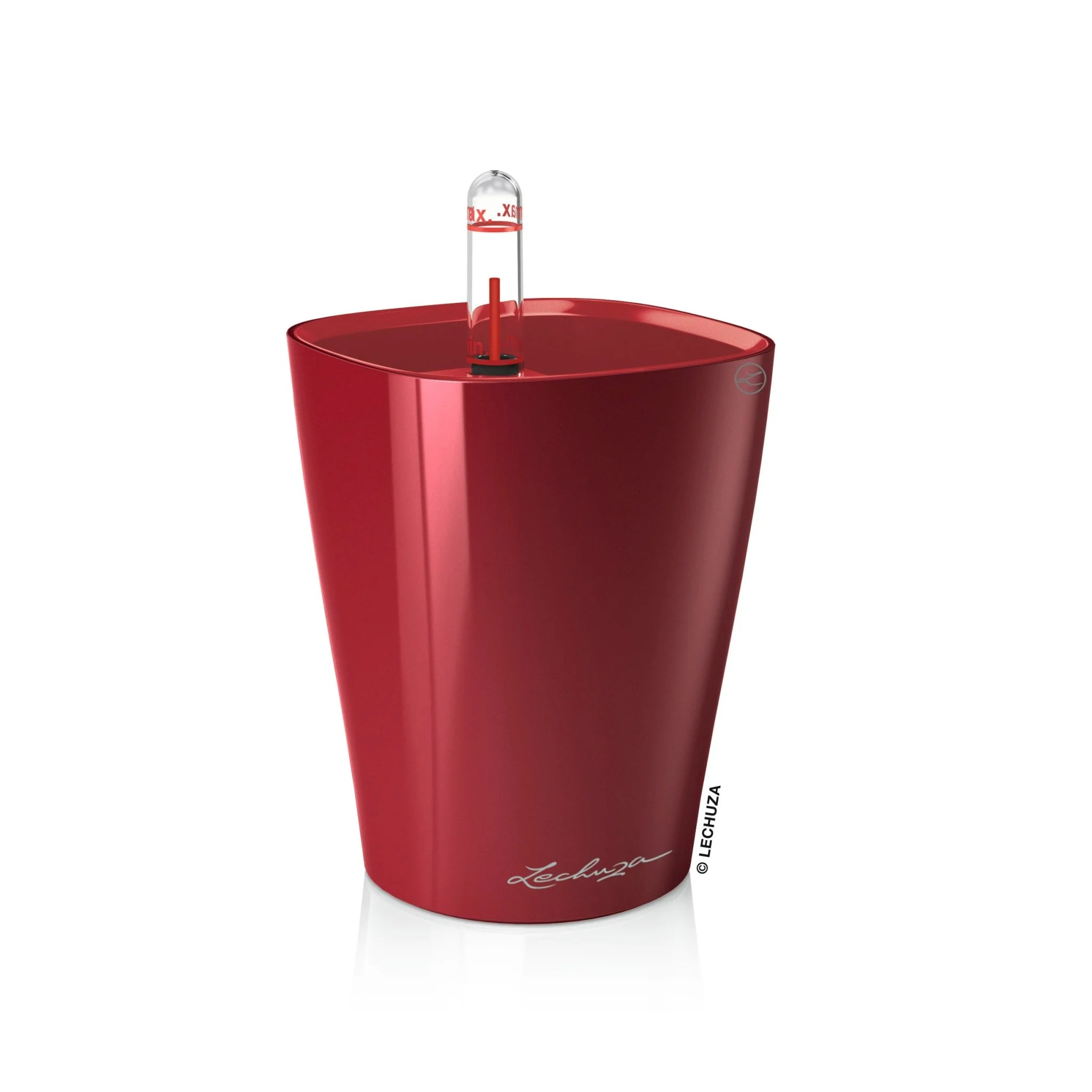 MINI DELTINI - Image 5