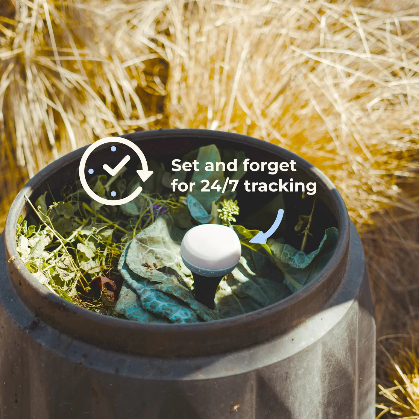 Monty Compost Monitor - Image 3