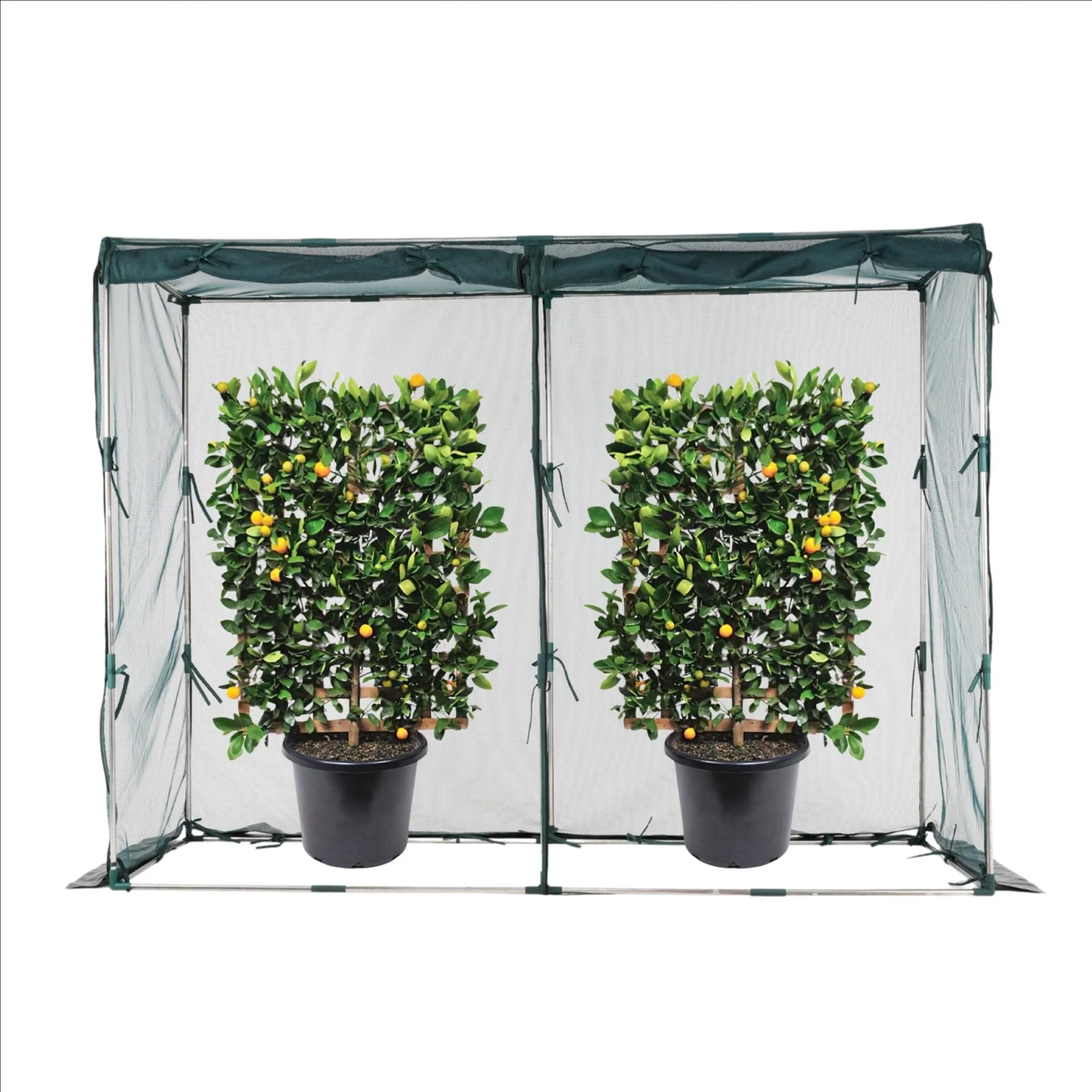NET Crop Protection Cage - Slim - Image 3