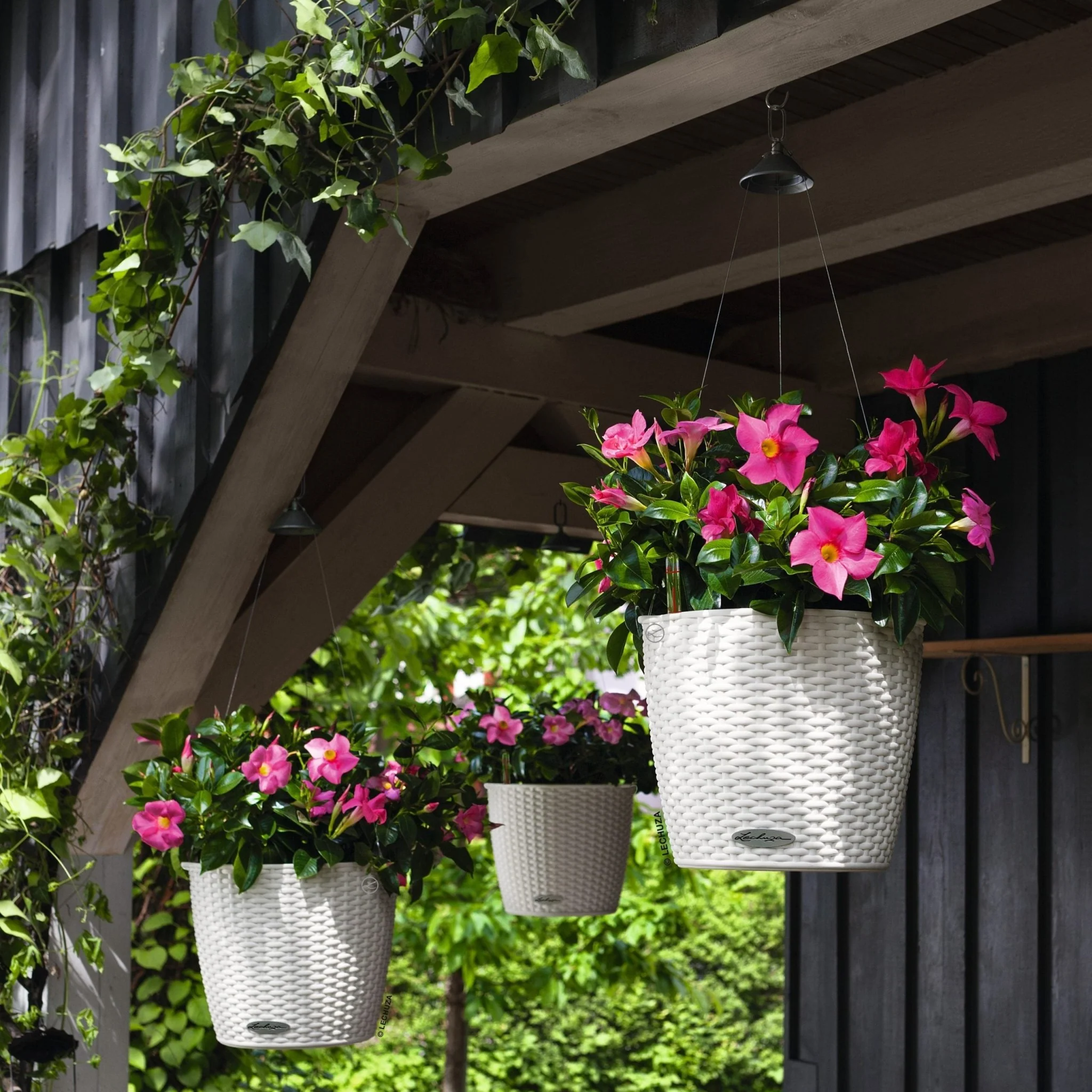 NIDO Cottage 28 Hanging Planter - Image 15