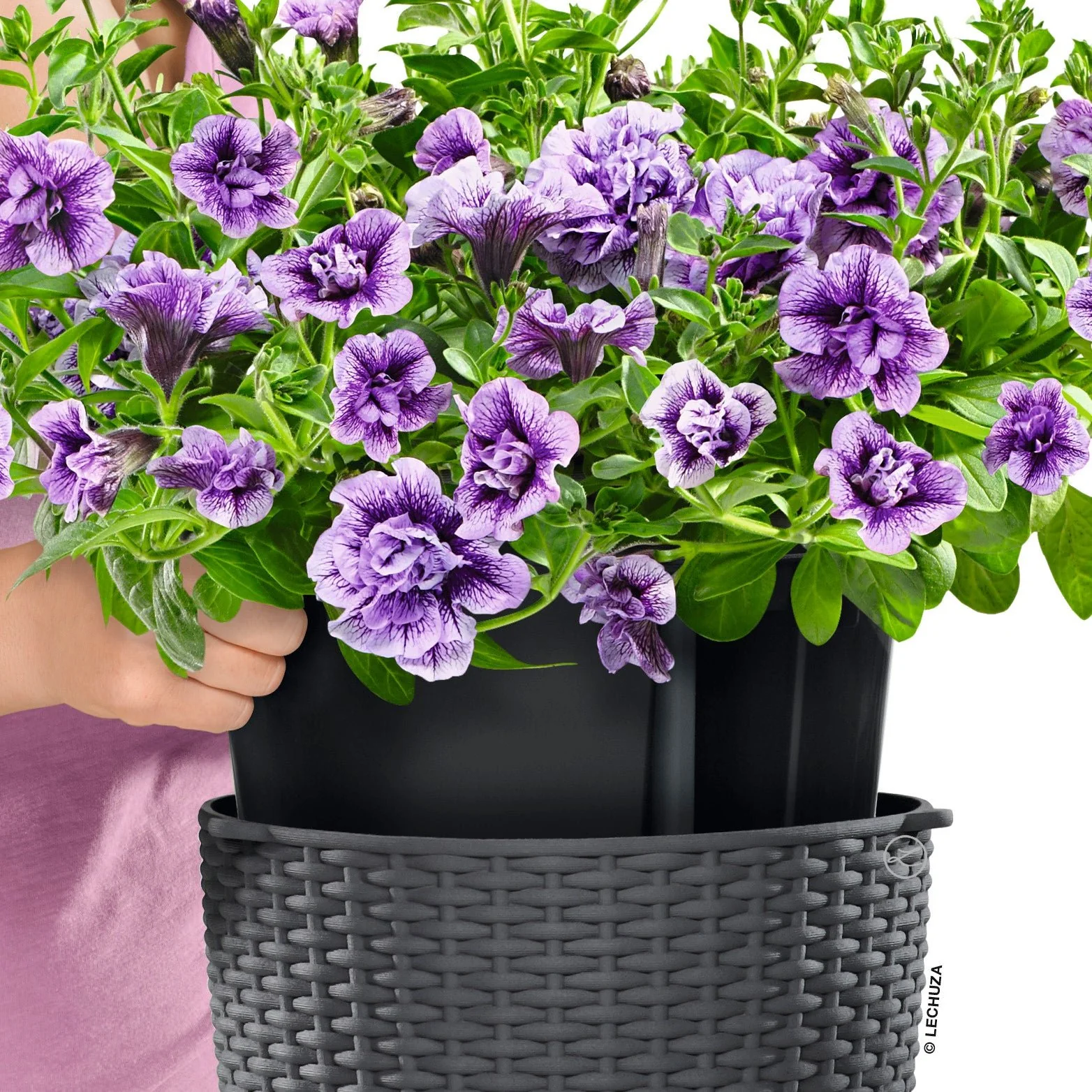 NIDO Cottage 28 Hanging Planter - Image 7