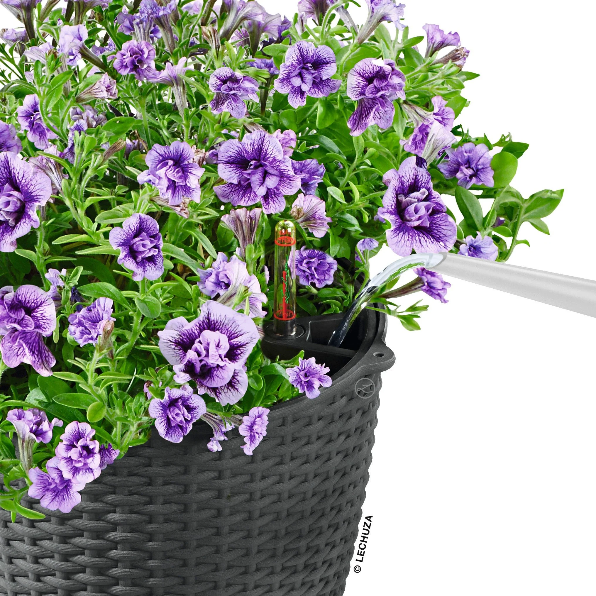 NIDO Cottage 28 Hanging Planter - Image 8