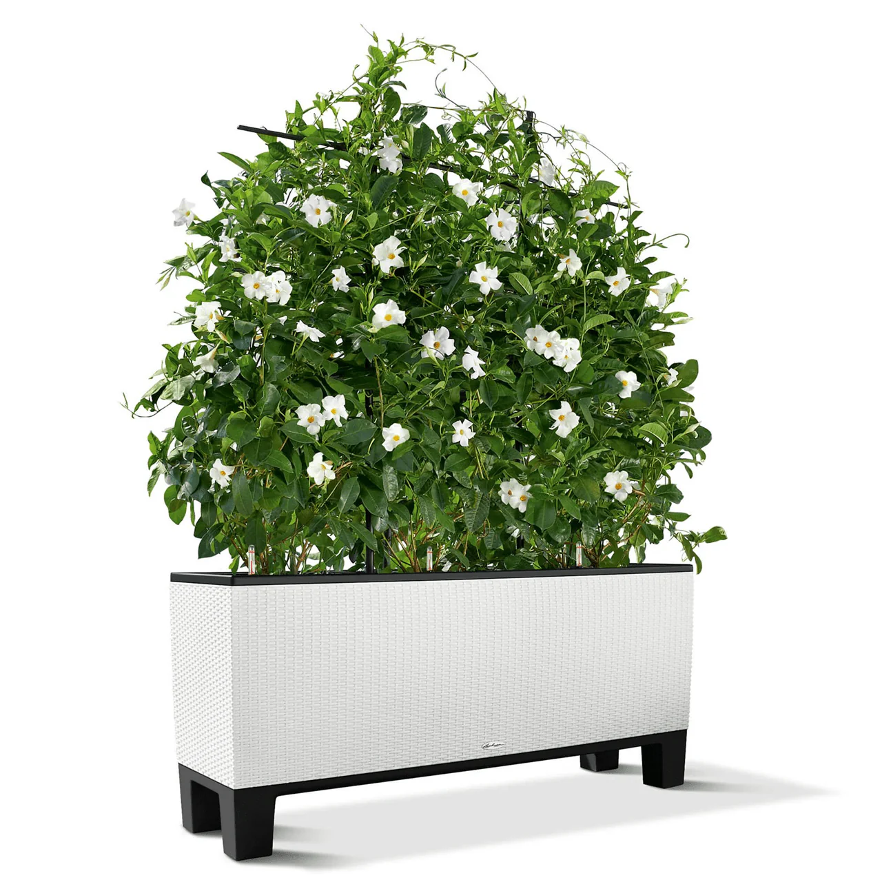 Pedestal for TRIO 40 - Image 3