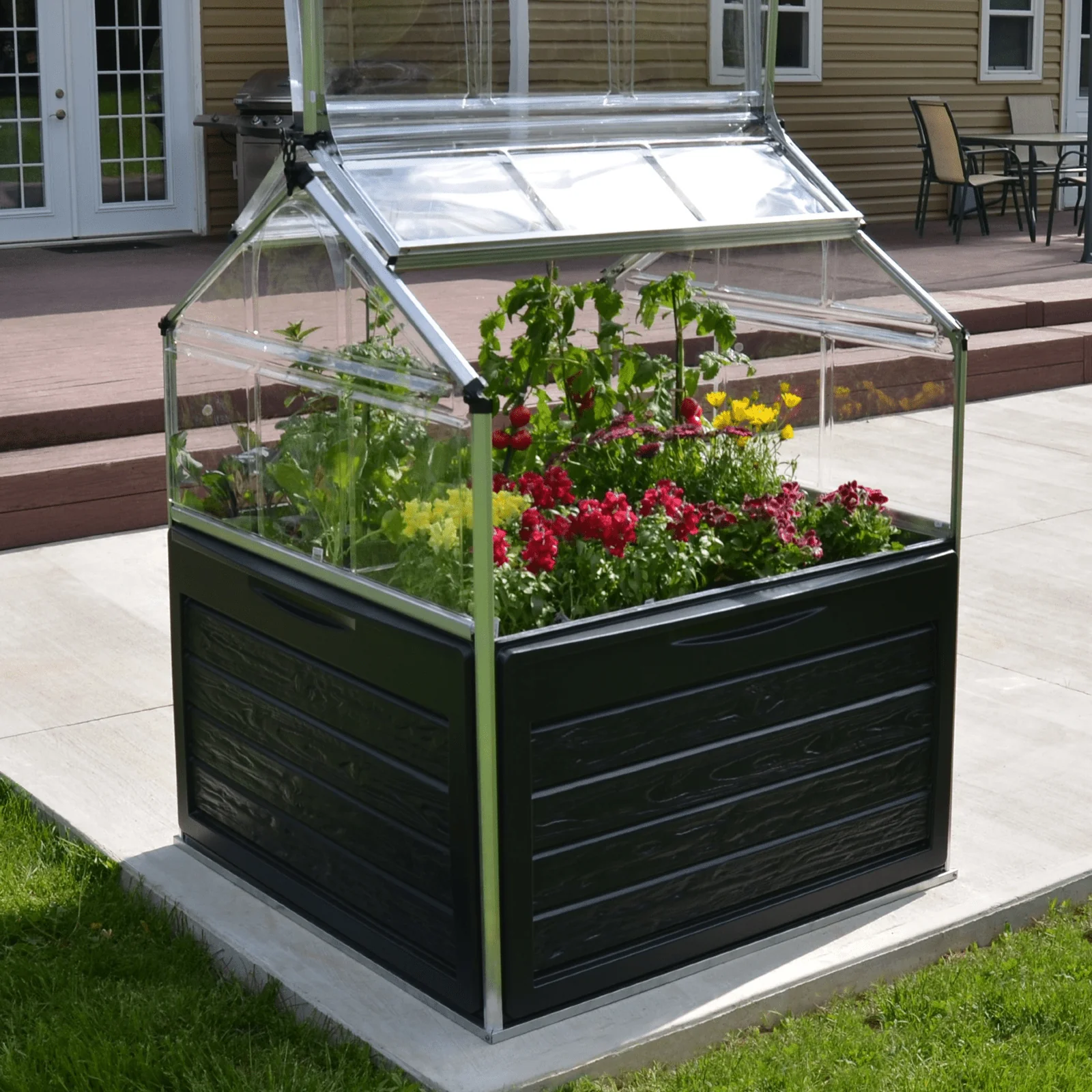Plant Inn – Mini Greenhouse - Image 3