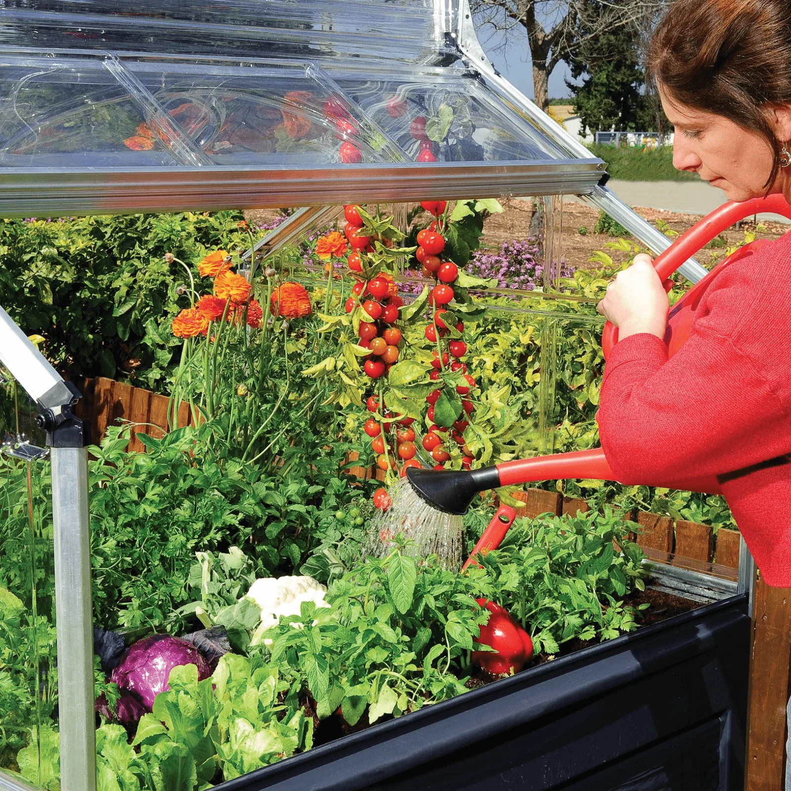 Plant Inn – Mini Greenhouse - Image 4
