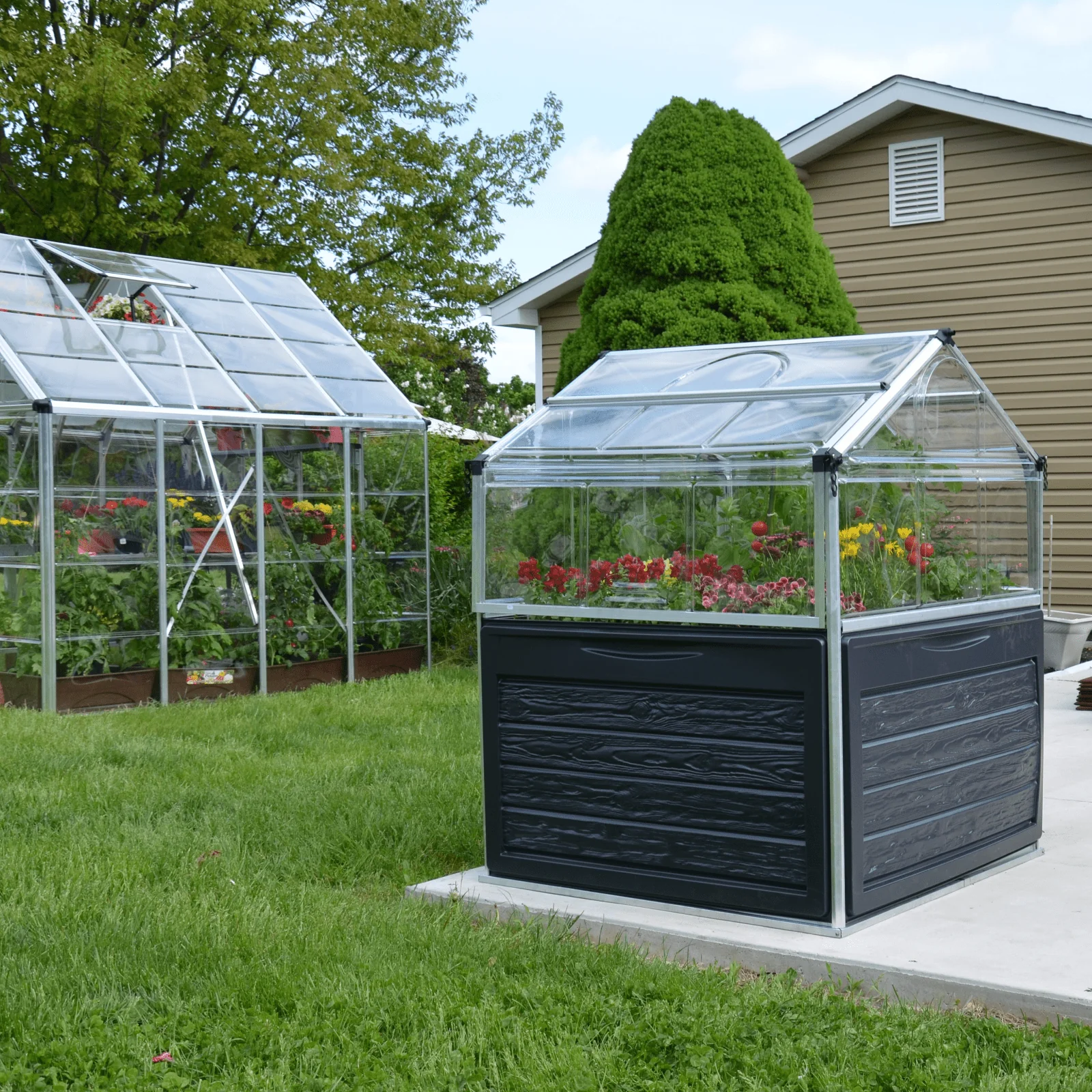 Plant Inn – Mini Greenhouse - Image 5