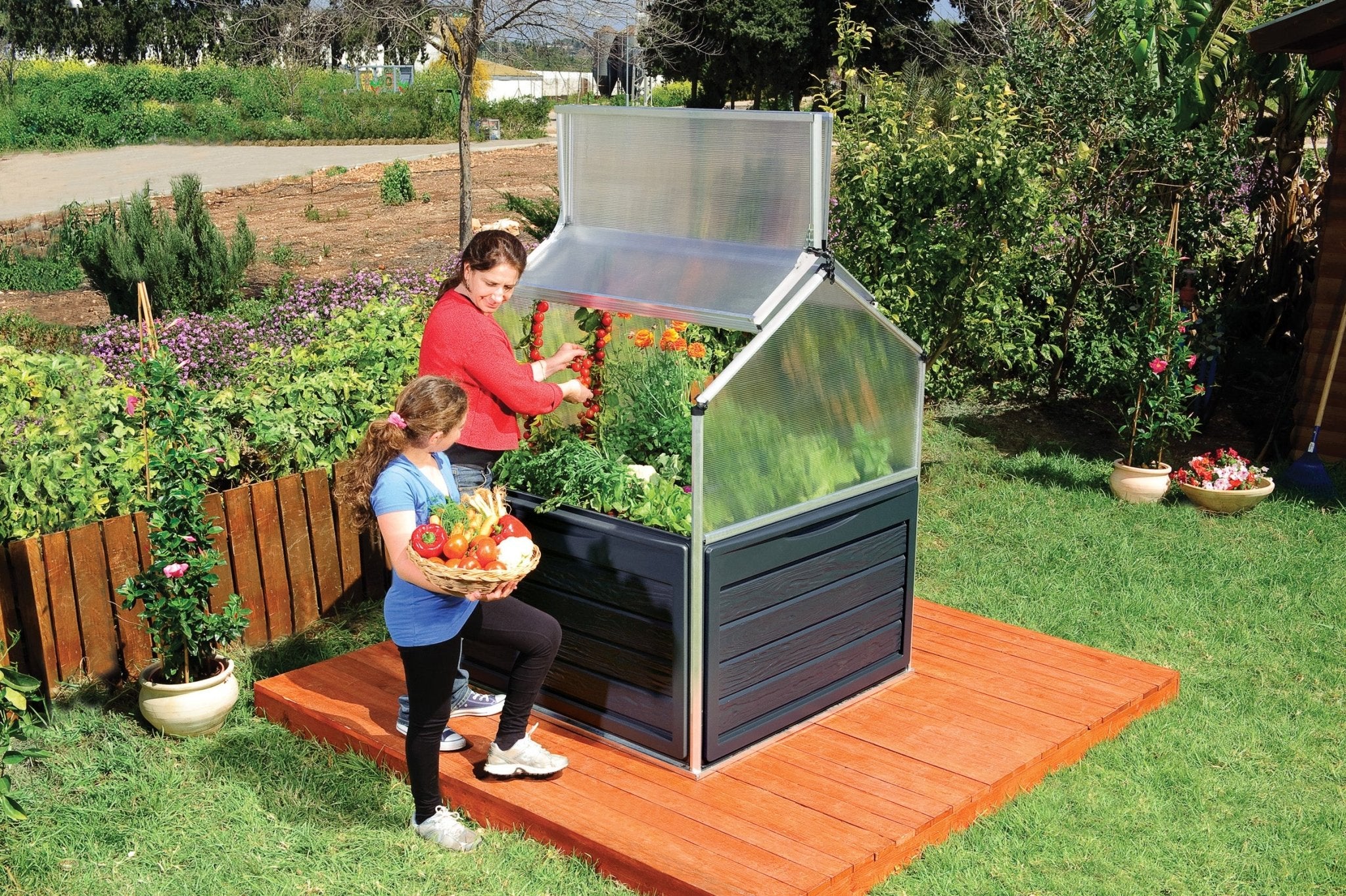 Plant Inn – Mini Greenhouse - Image 9
