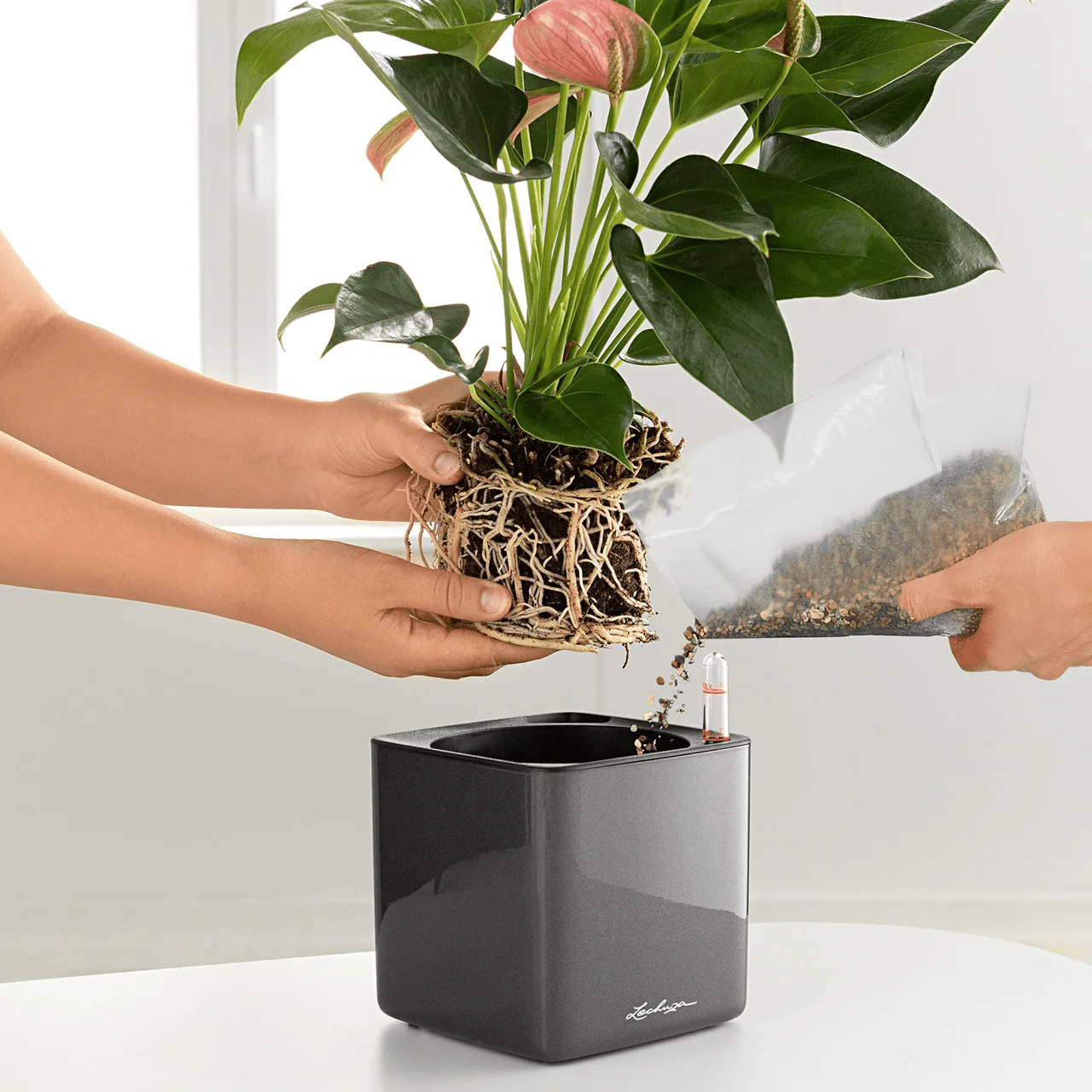 Planting Plate - For Stick Systems - Image 4