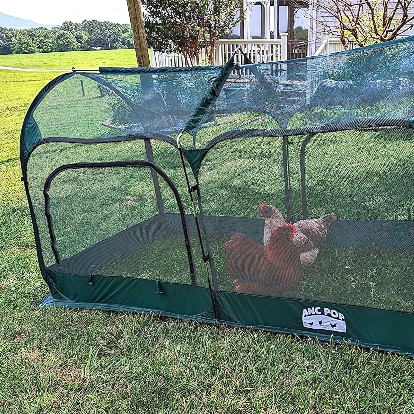 Pop up Chicken Run - Image 7