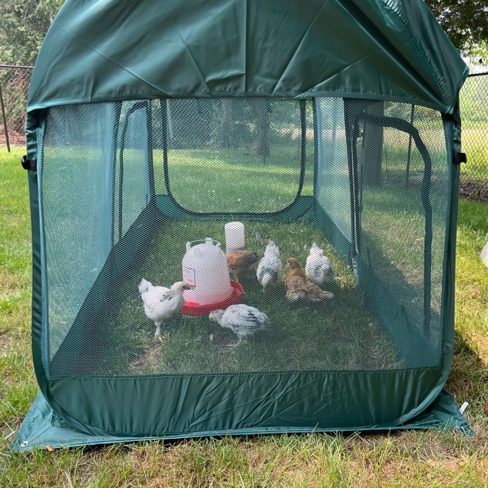 Pop up Chicken Run - Image 8