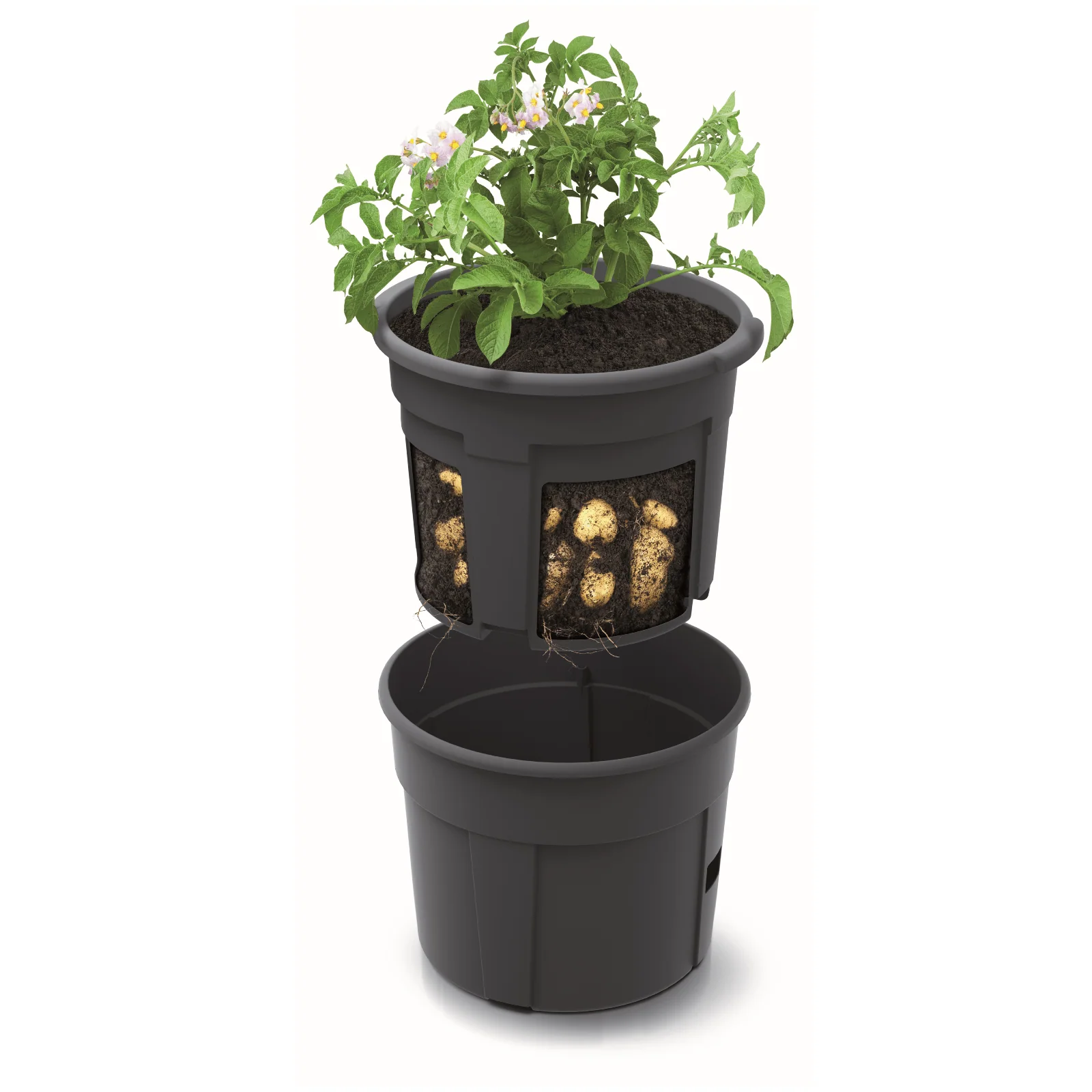 Potato Grower Planter 400