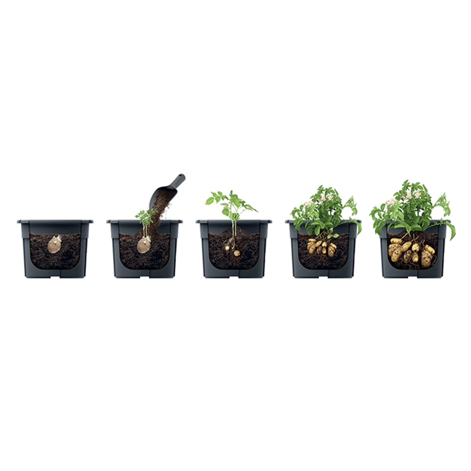 Potato Grower Planter 400 - Image 3
