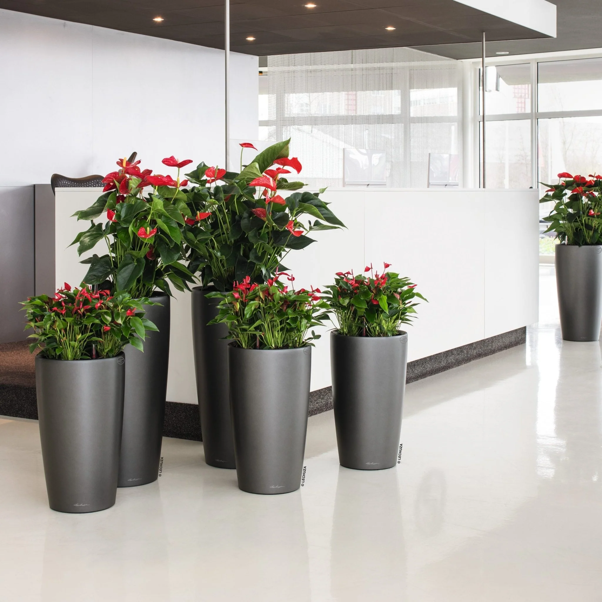 RONDO 32 Premium - Image 11