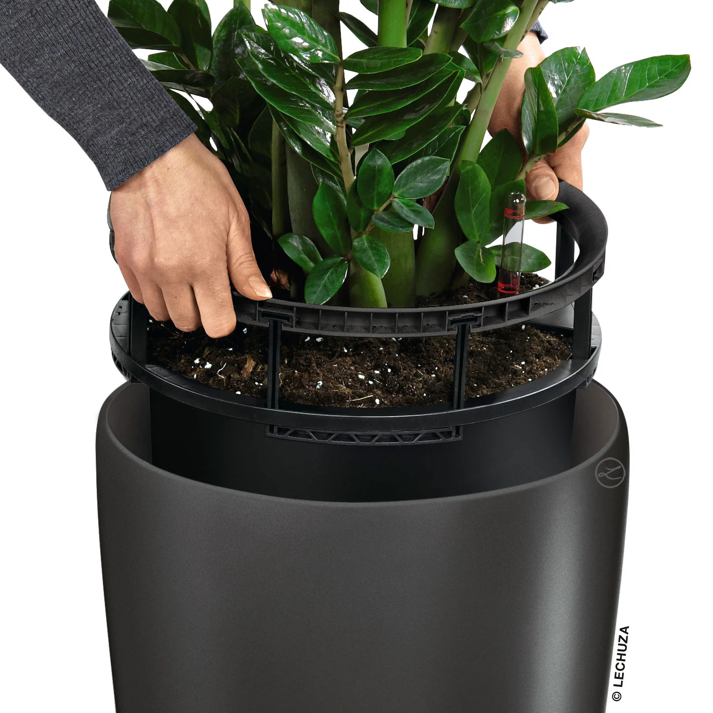 RONDO 32 Premium - Image 7