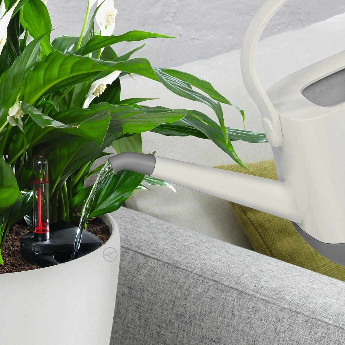 CLASSICO Color 18 - Image 6