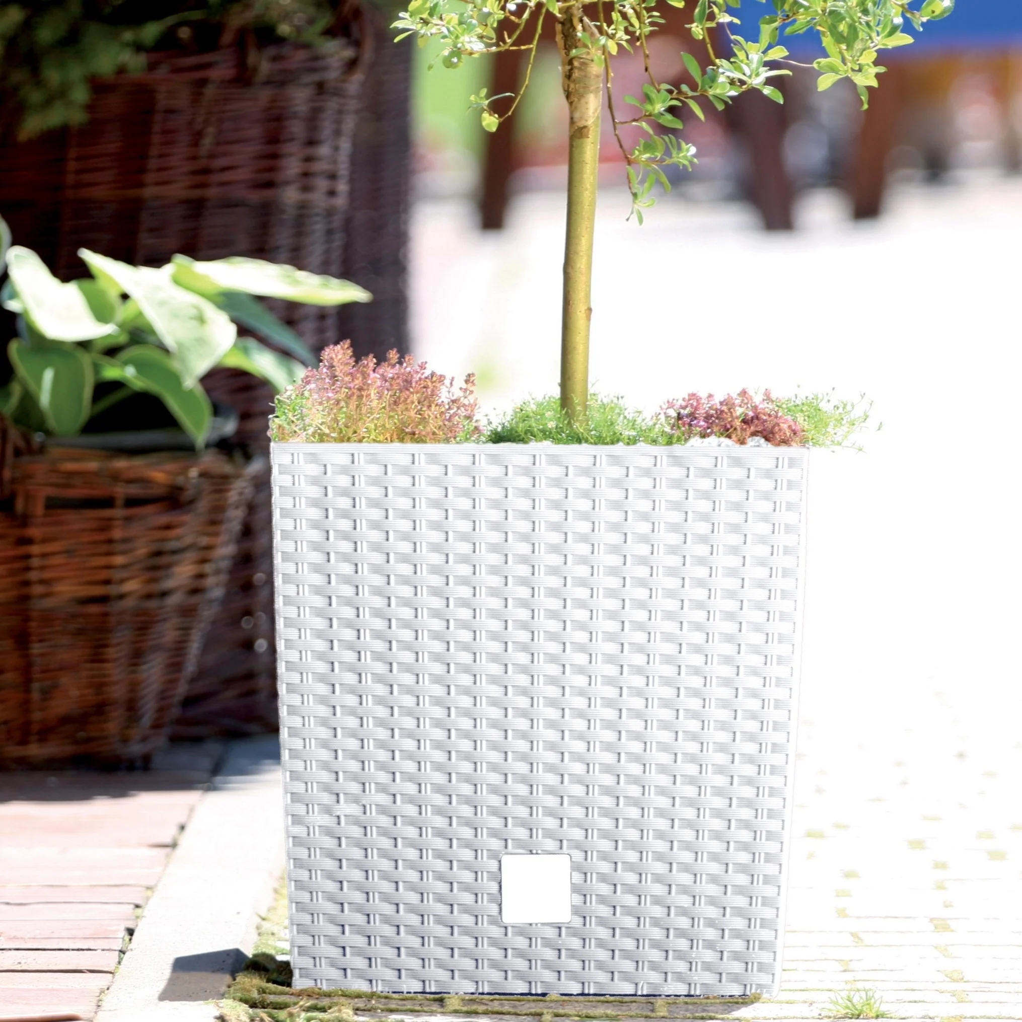Rato Low Planter 400 - Image 8