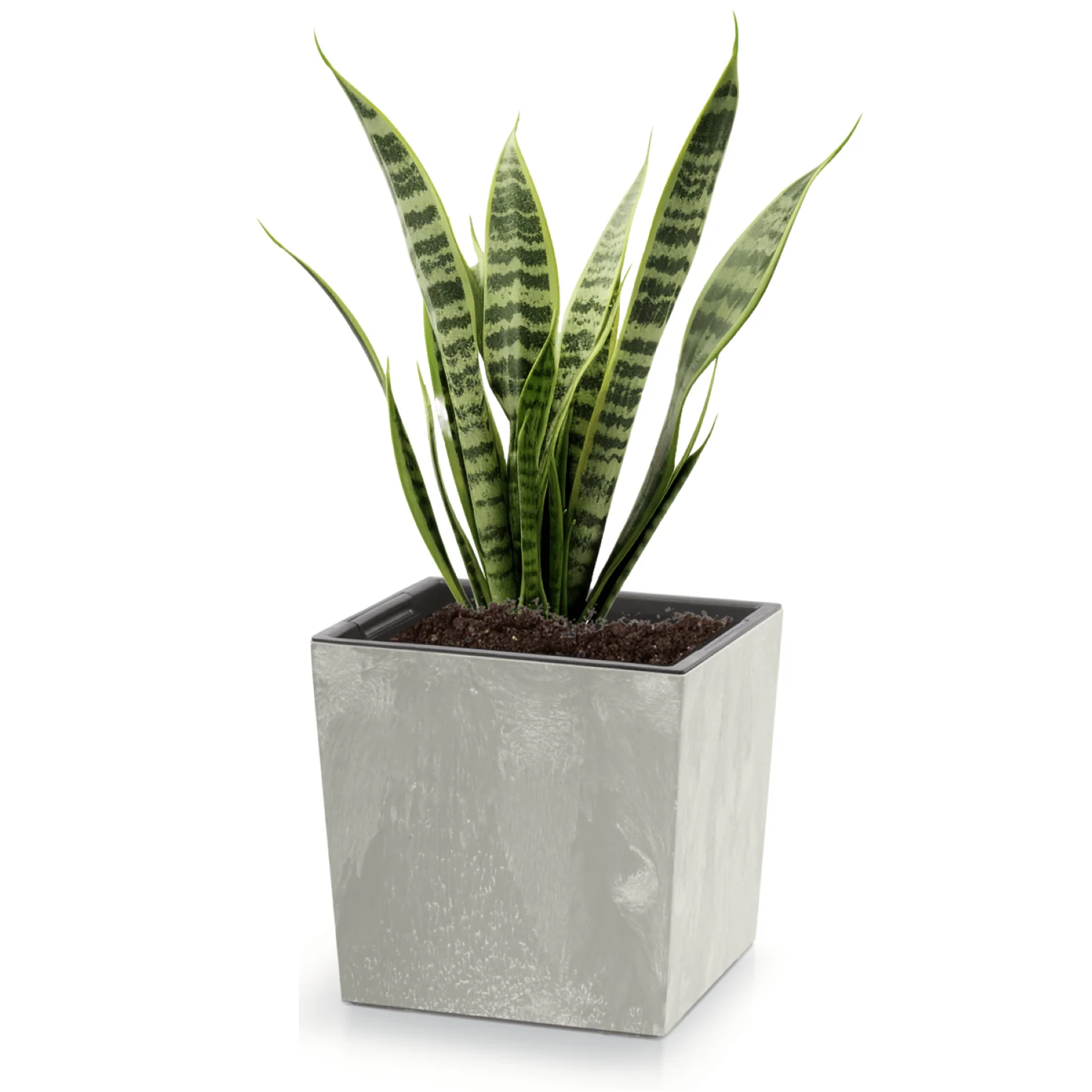 Urbi Low Planter - Image 6