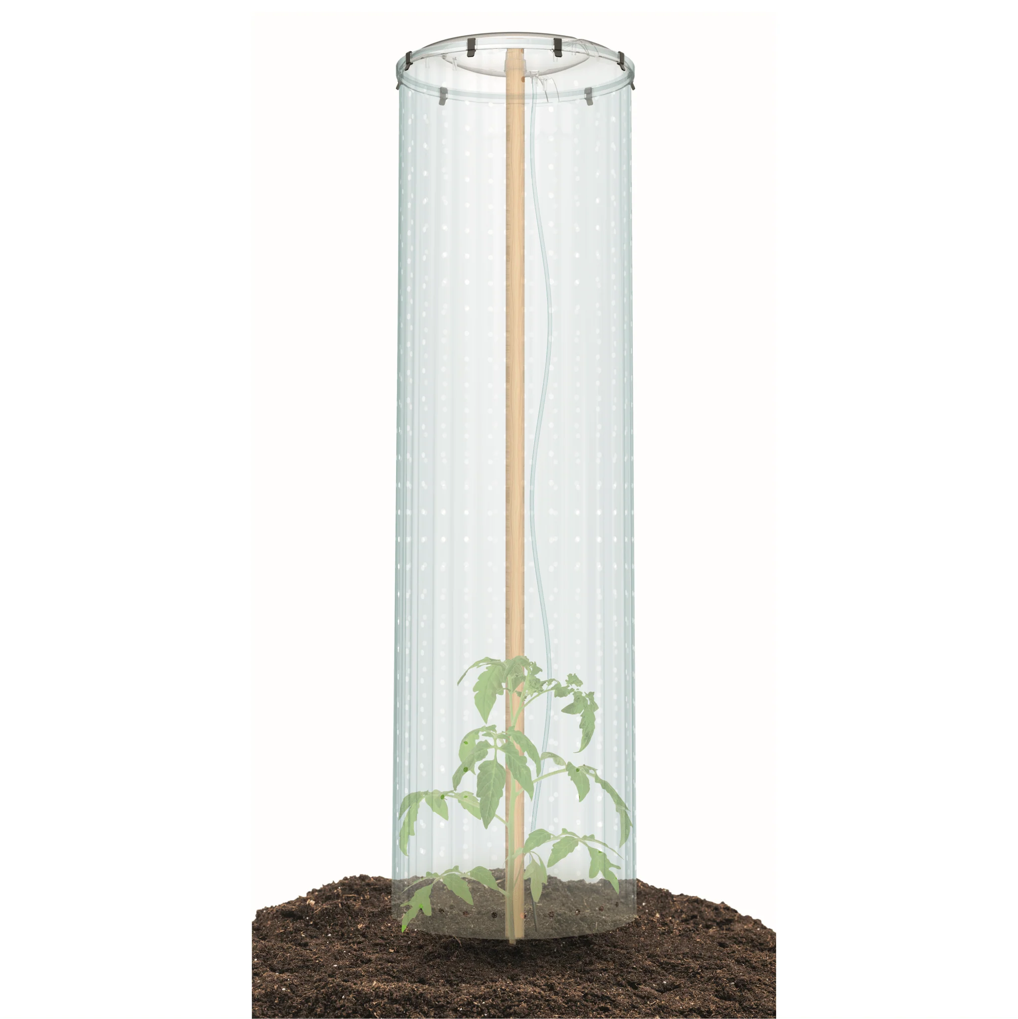 Protective Cover for Tomato Grower - Image 7