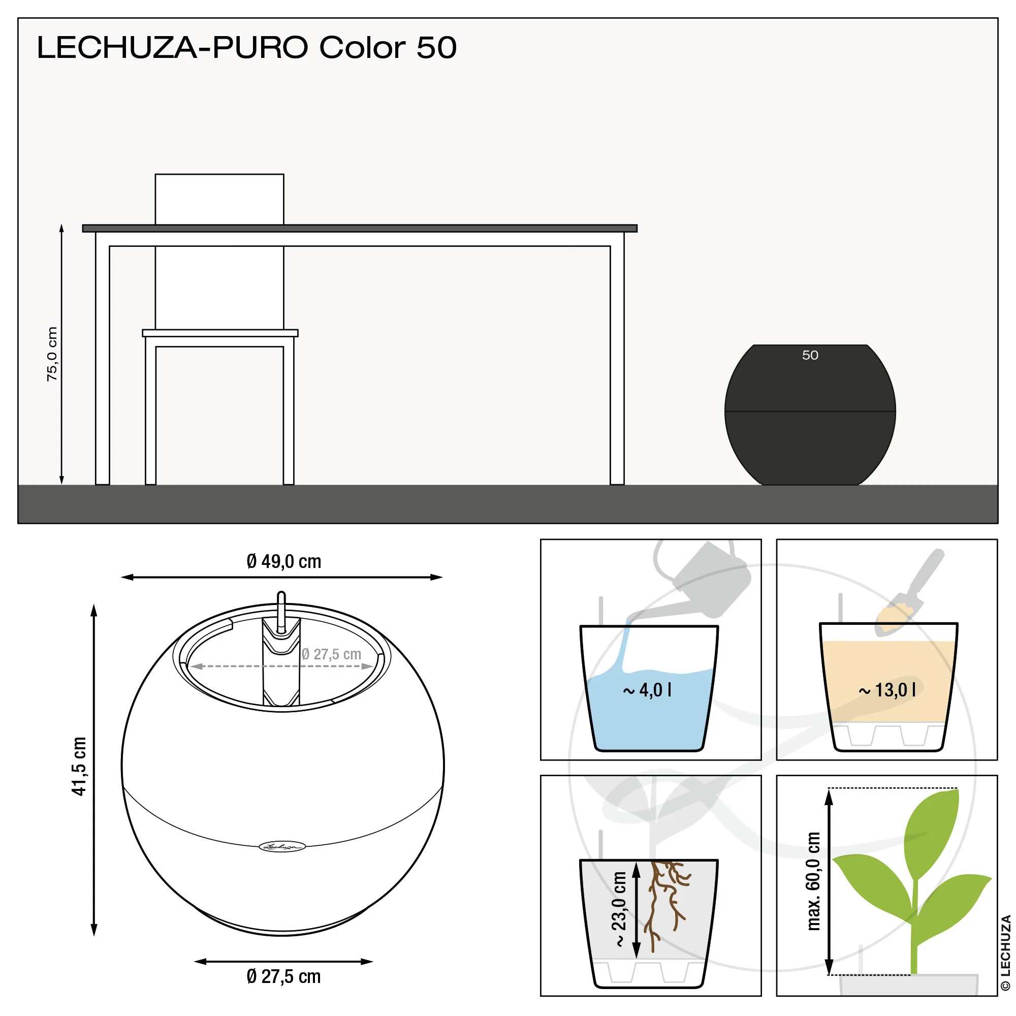 PURO COLOR 50 - Image 16