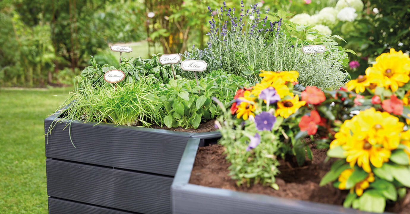 Hex ERGO Raised GARDEN Bed - Image 5