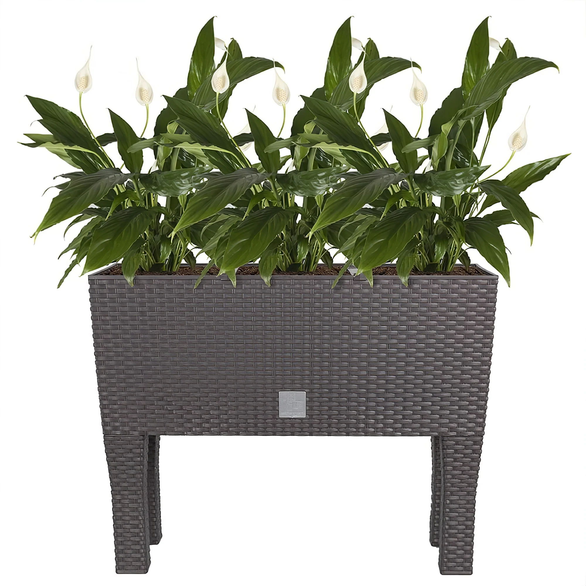 Rato Raised Planter 600 - Image 6