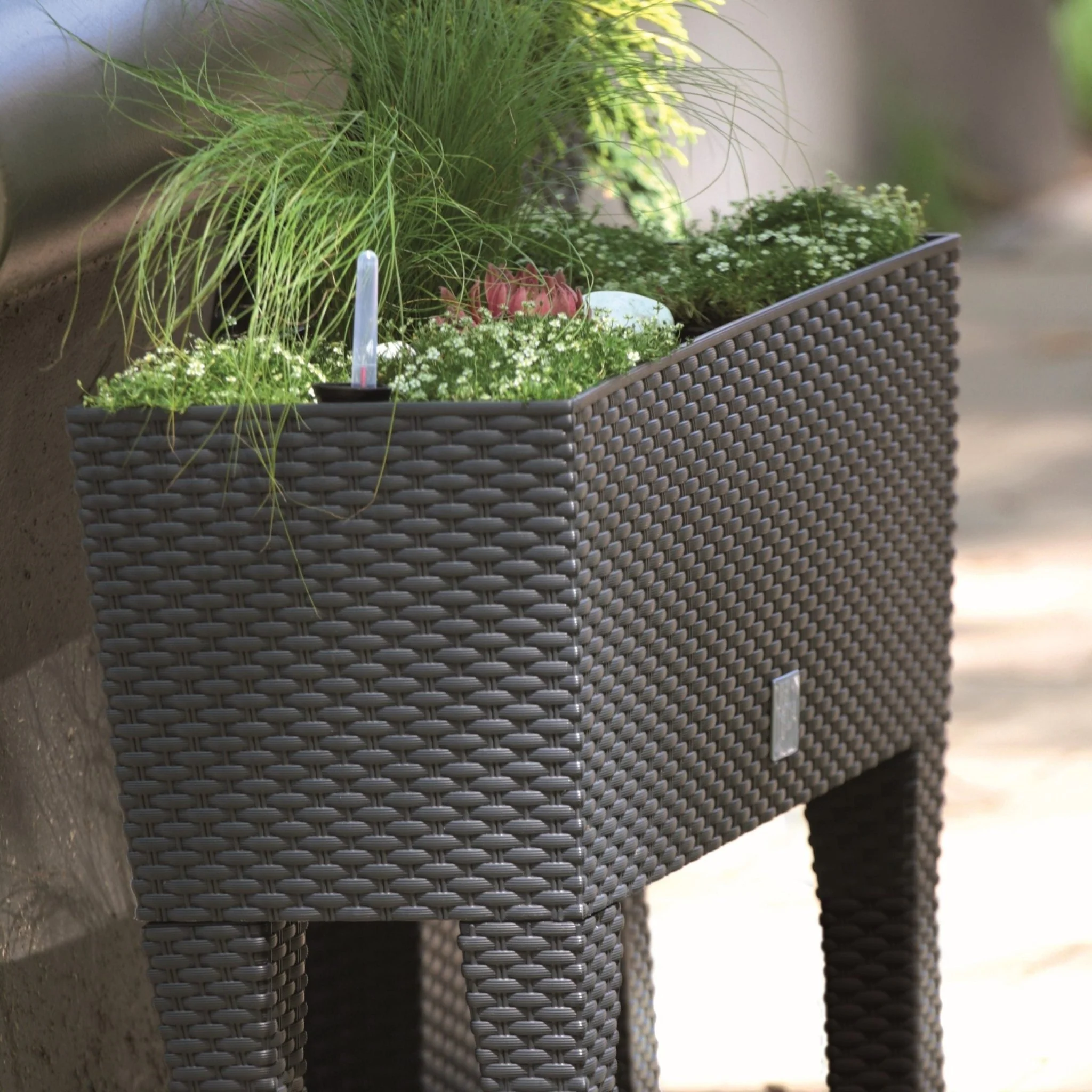 Rato Raised Planter 600 - Image 8