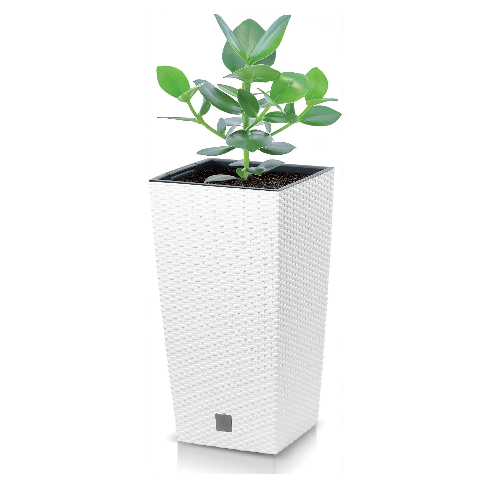 Rato Tall Planter 170 - Image 5