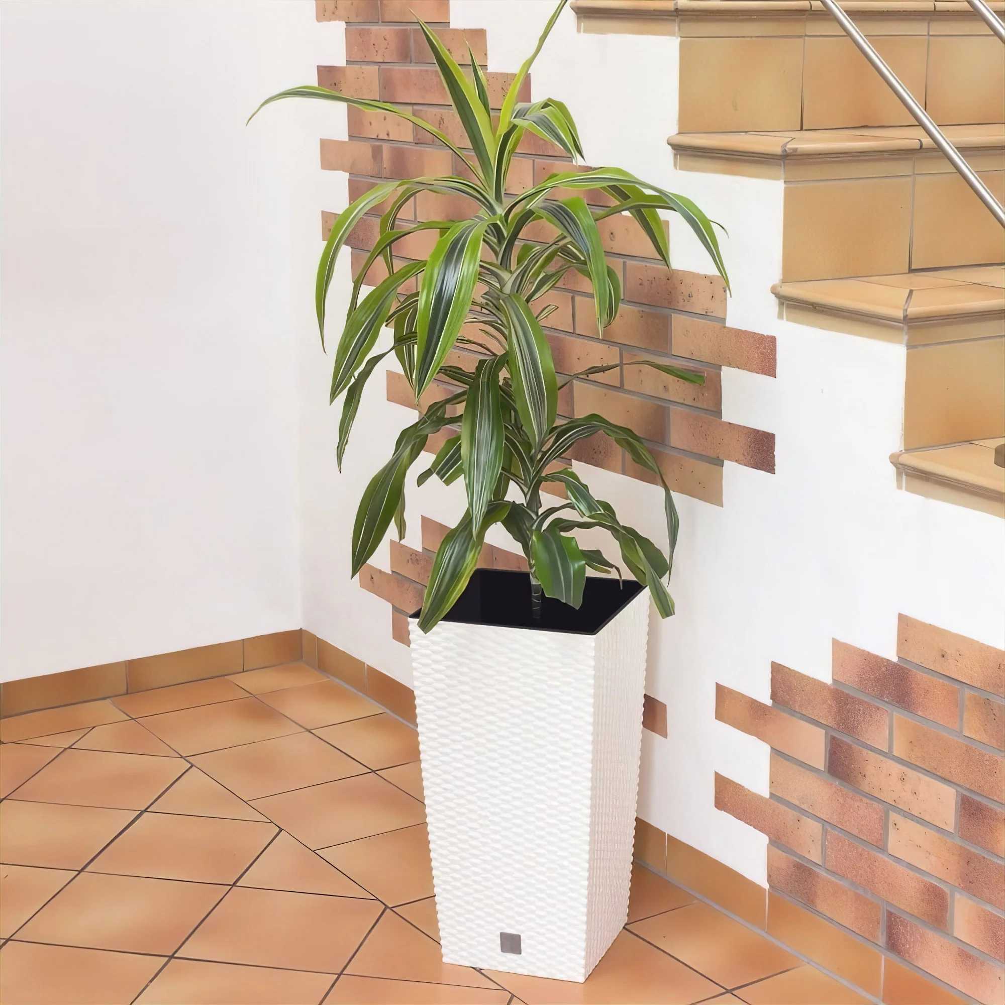 Rato Tall Planter 325 - Image 7